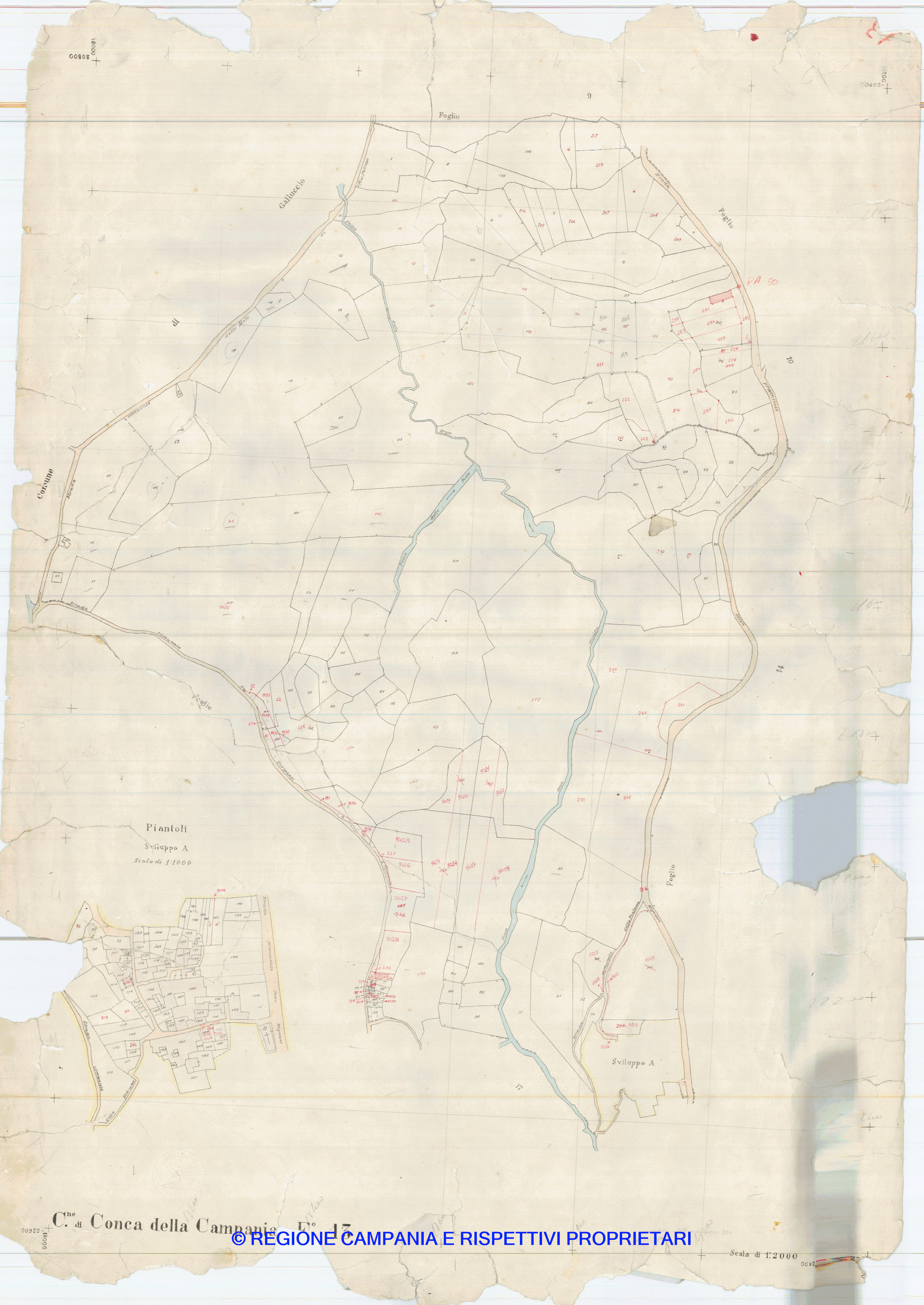 Mappa