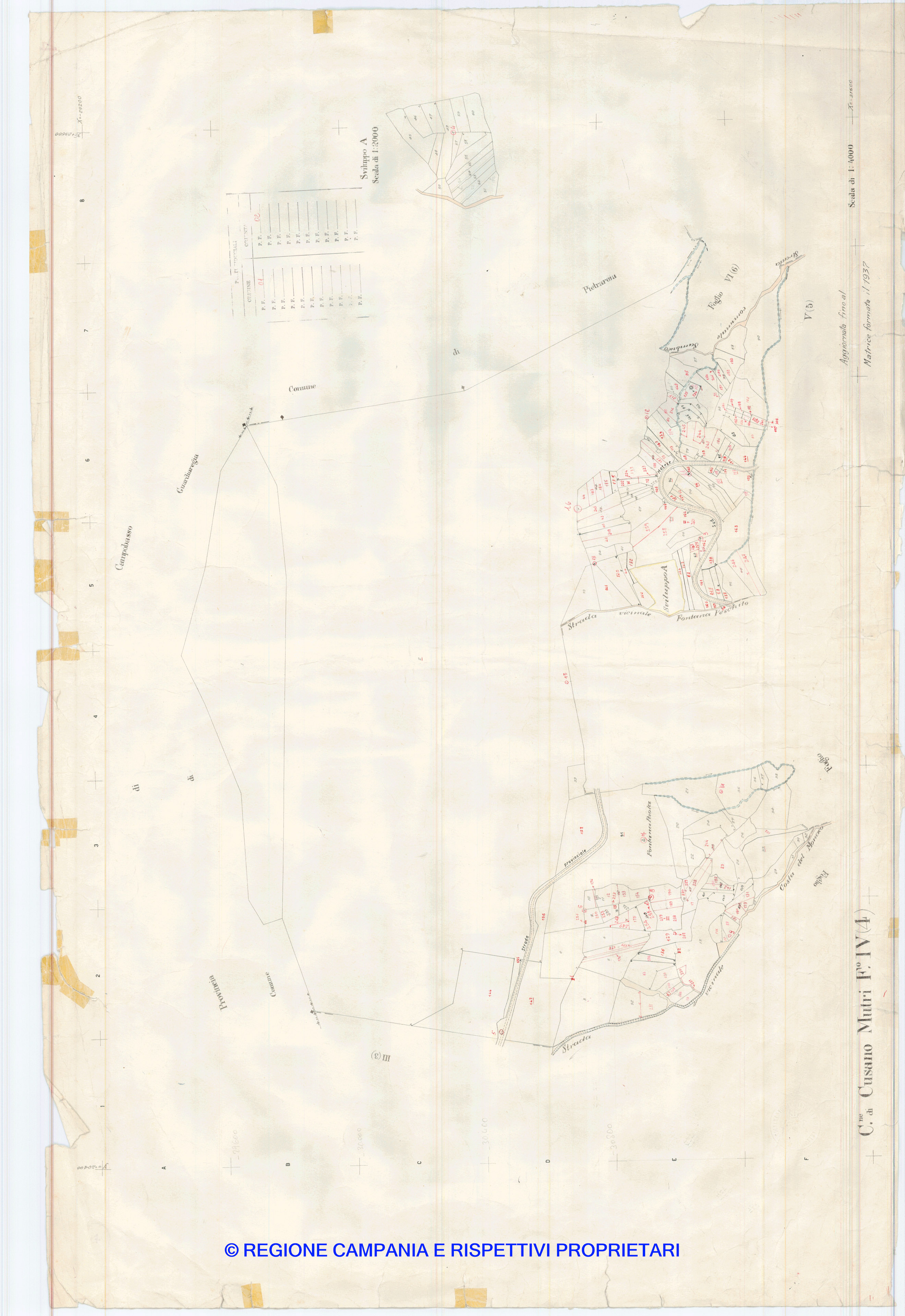 Mappa