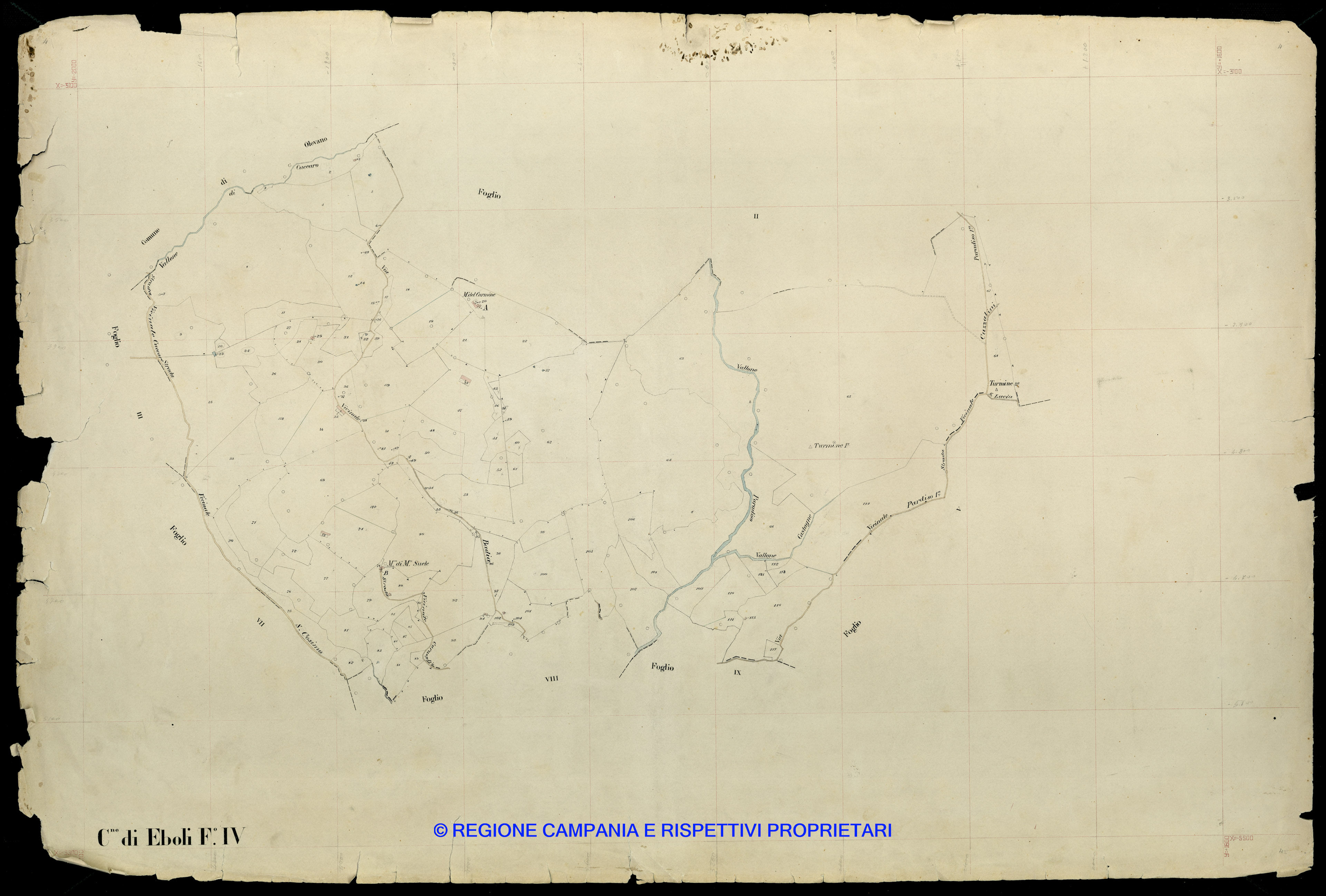 Mappa