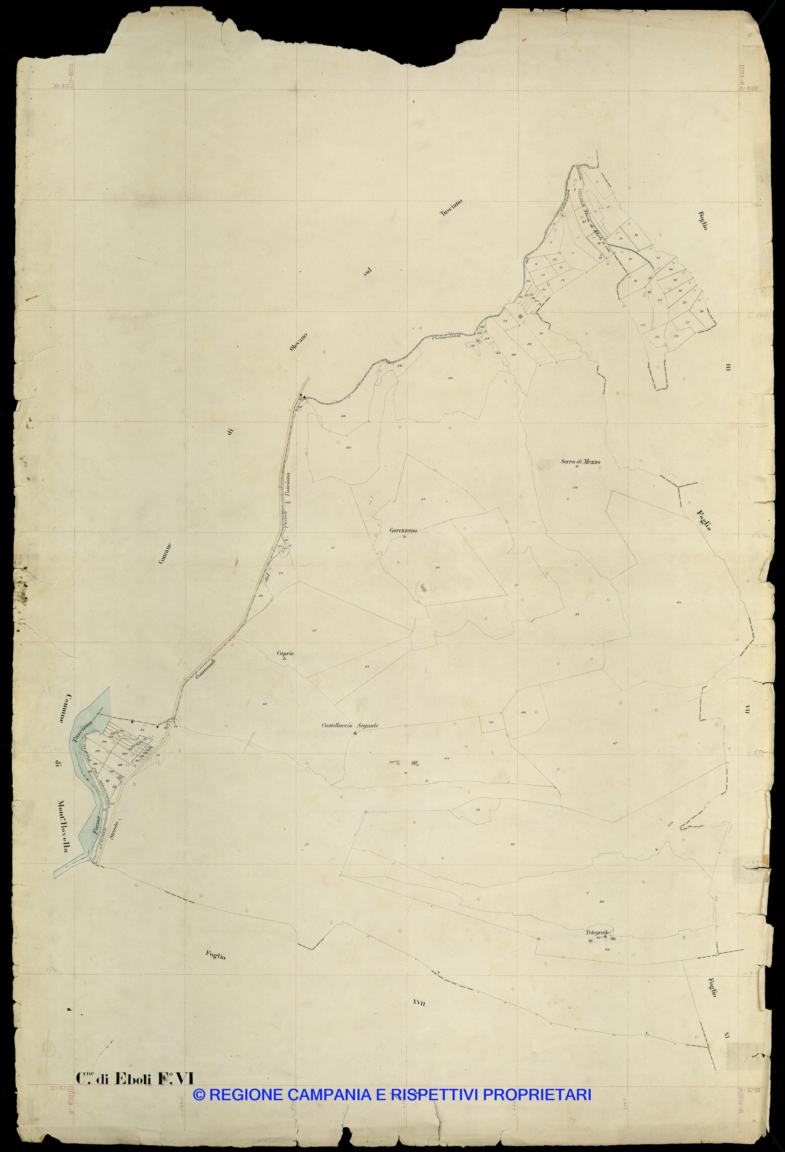 Mappa