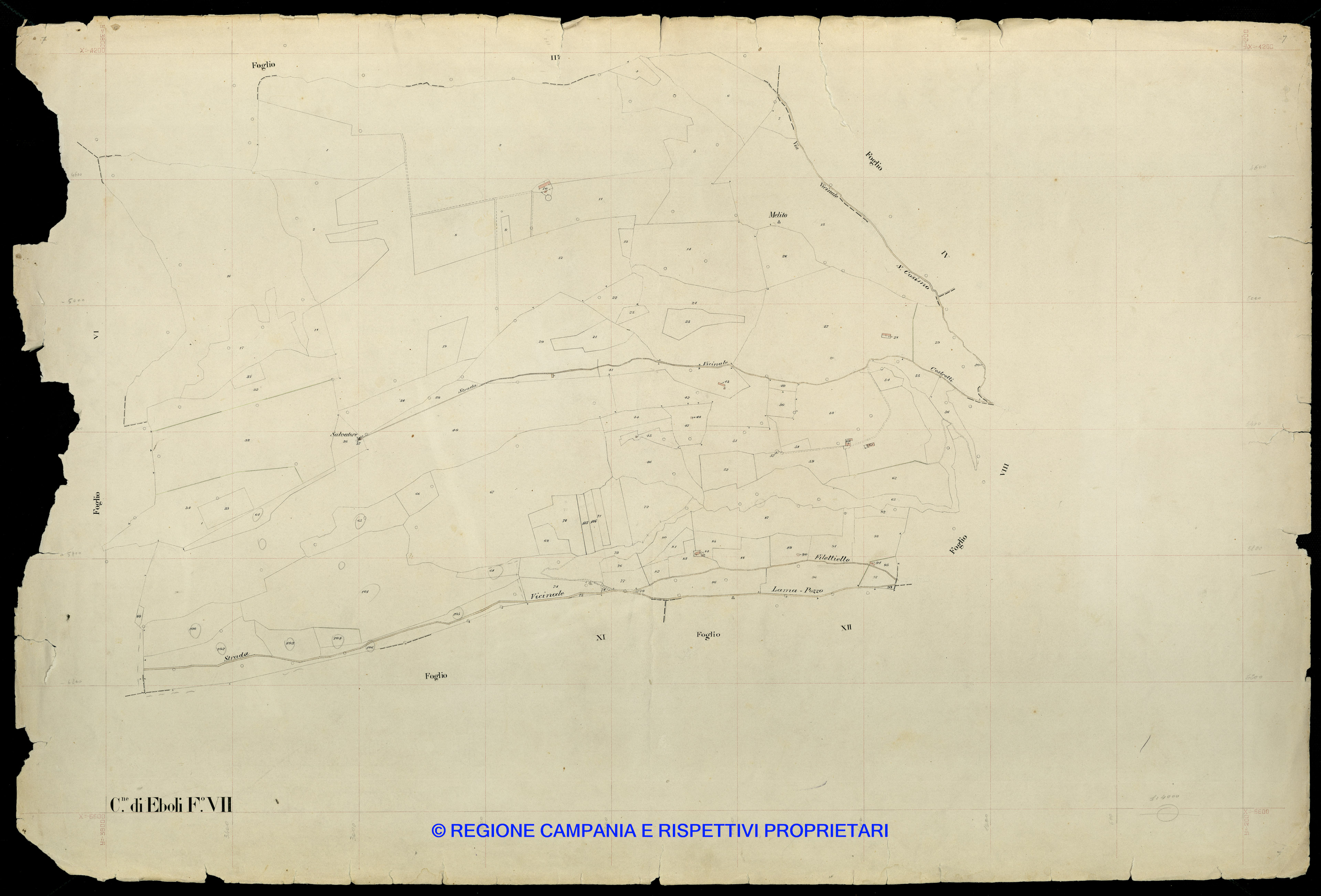 Mappa