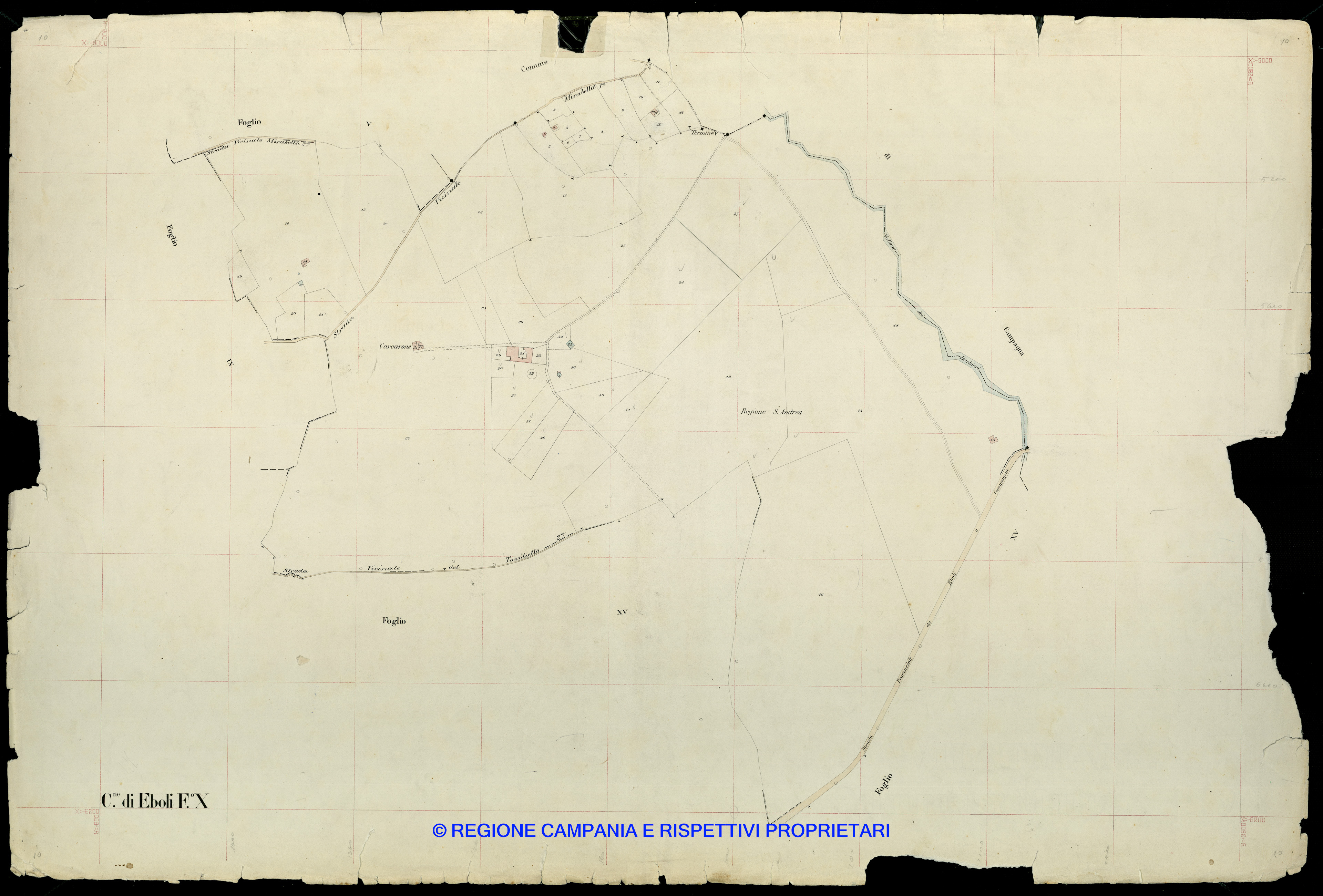 Mappa