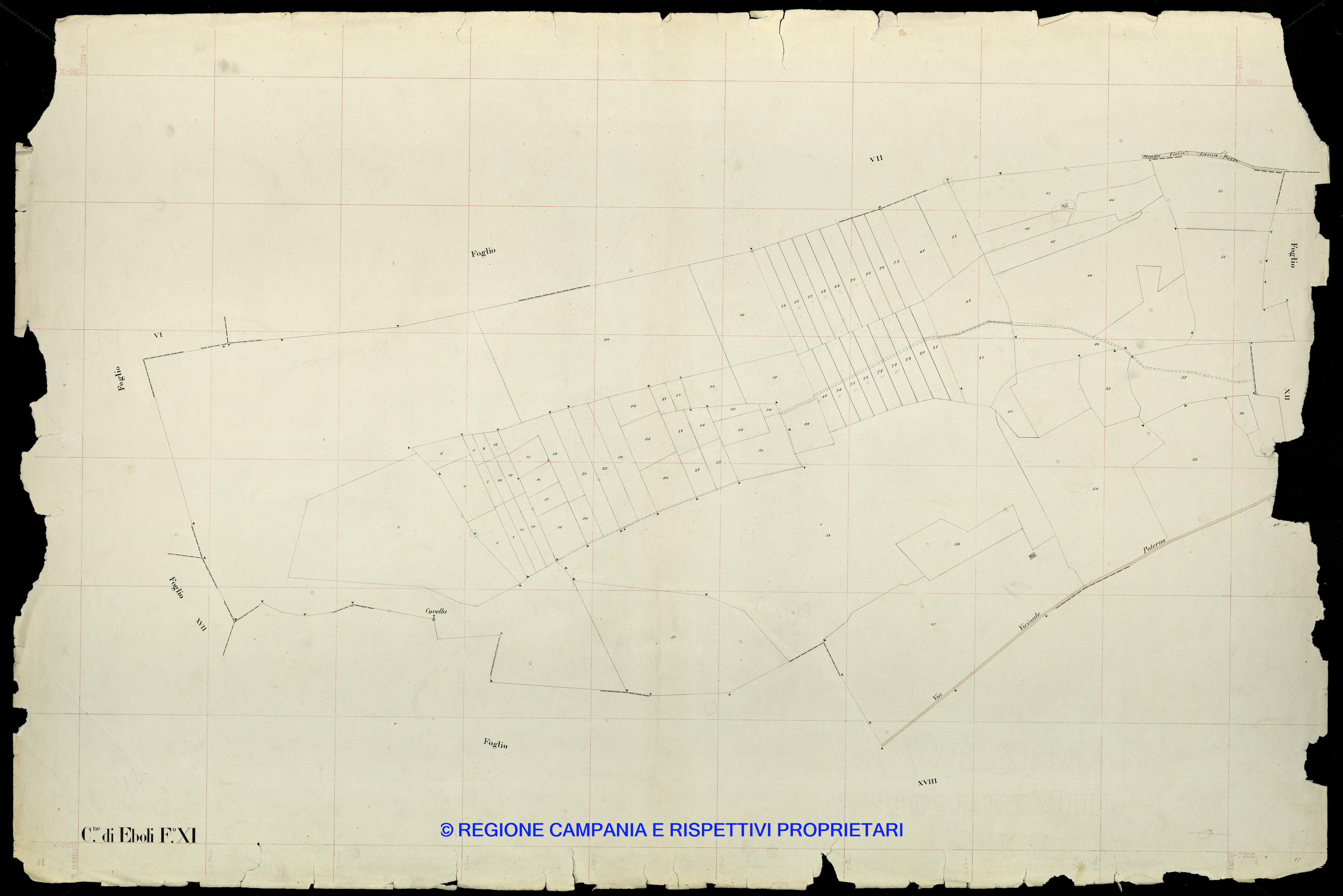 Mappa