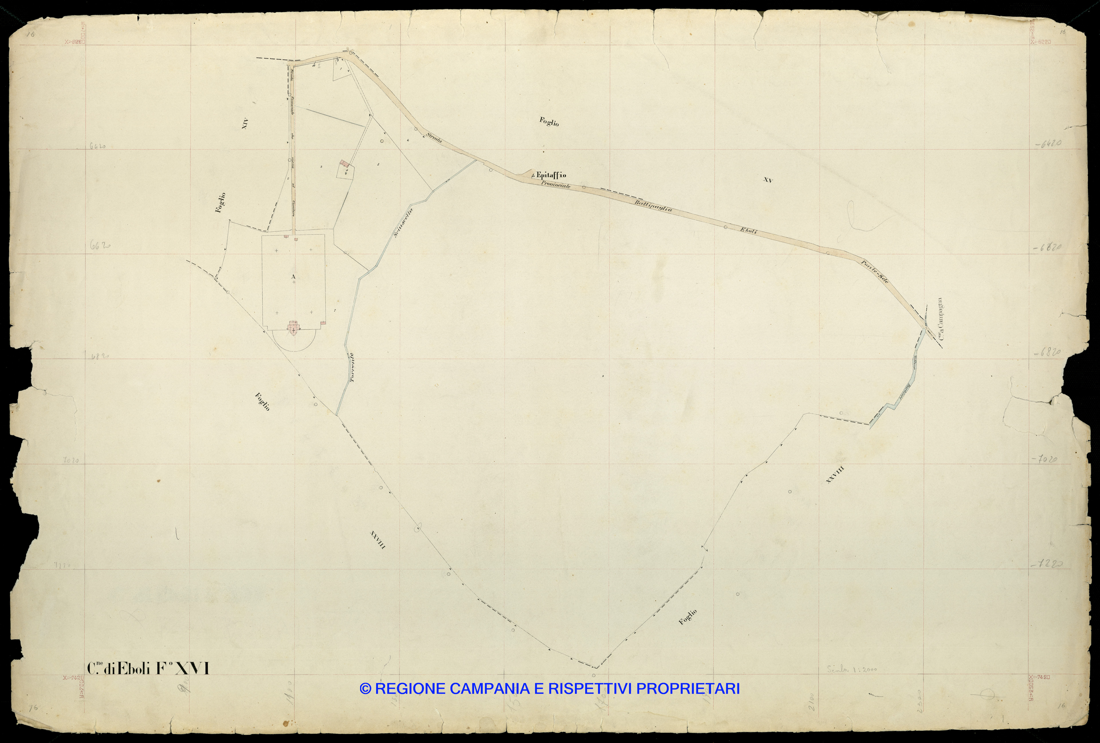 Mappa