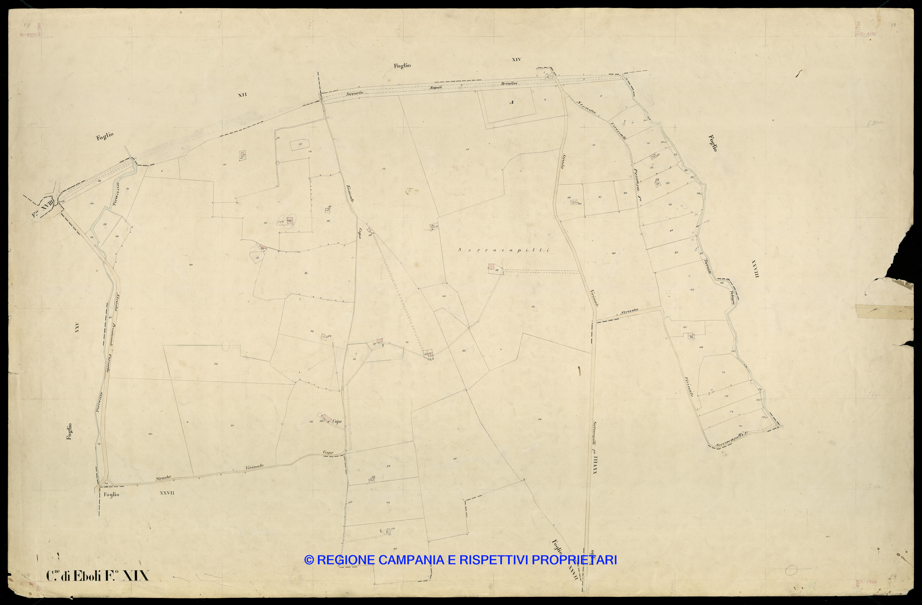 Mappa