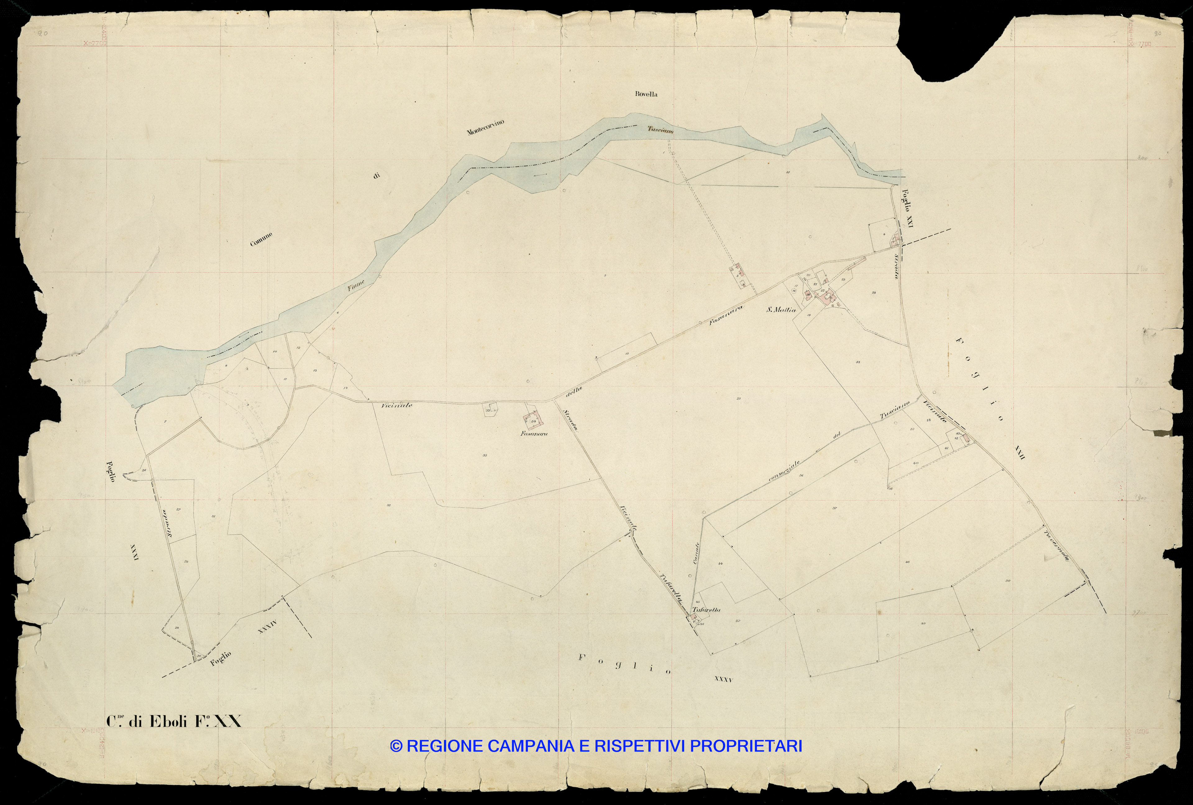 Mappa