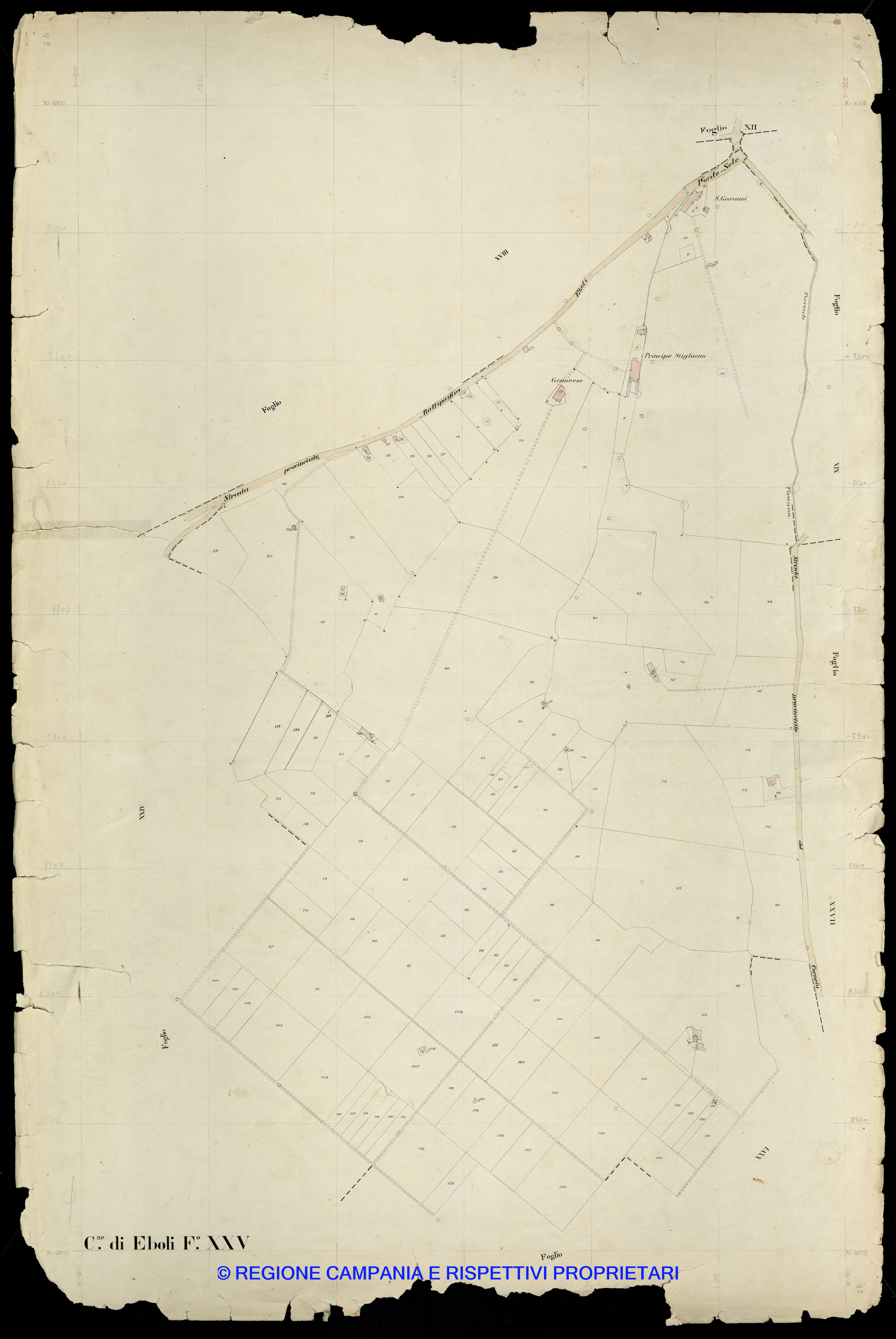 Mappa