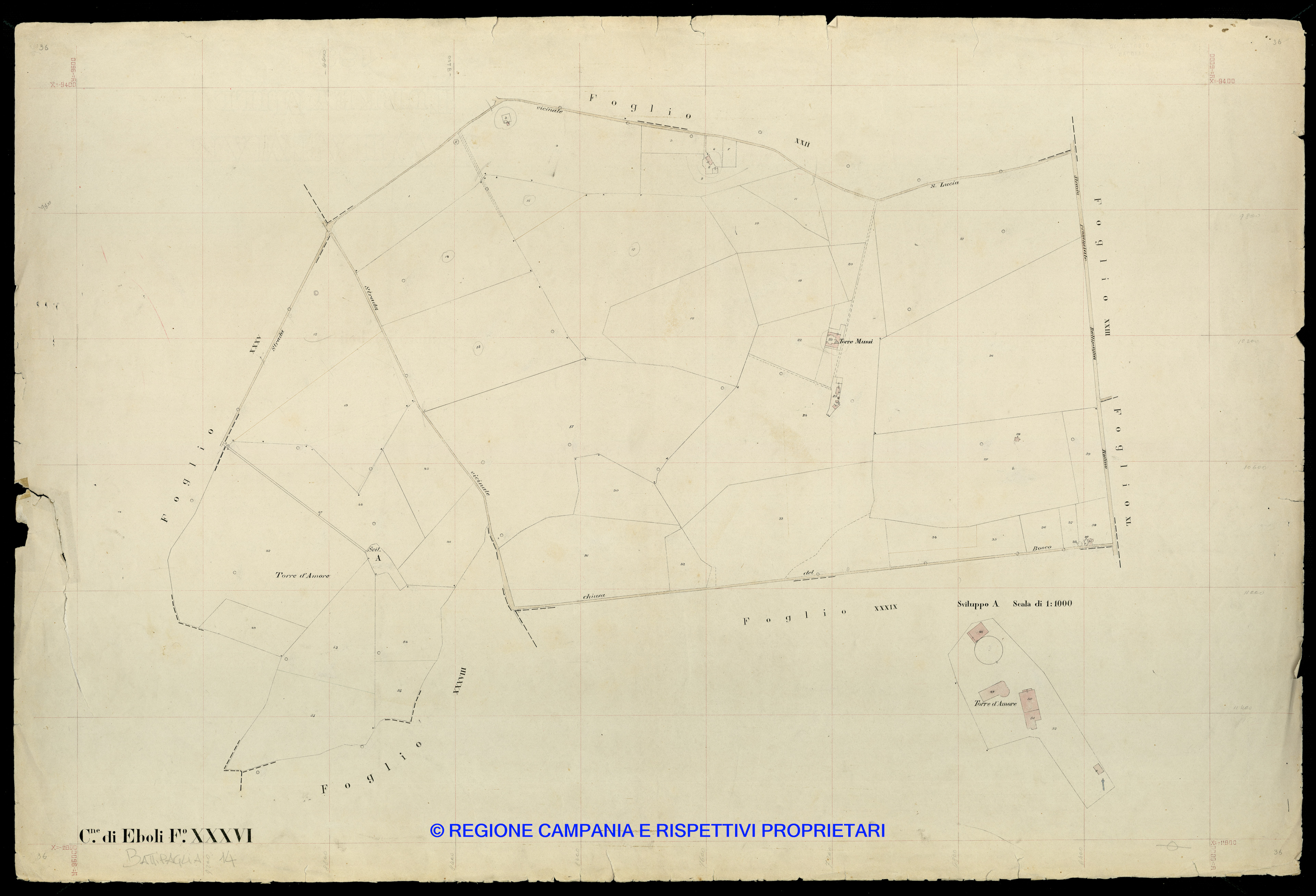 Mappa