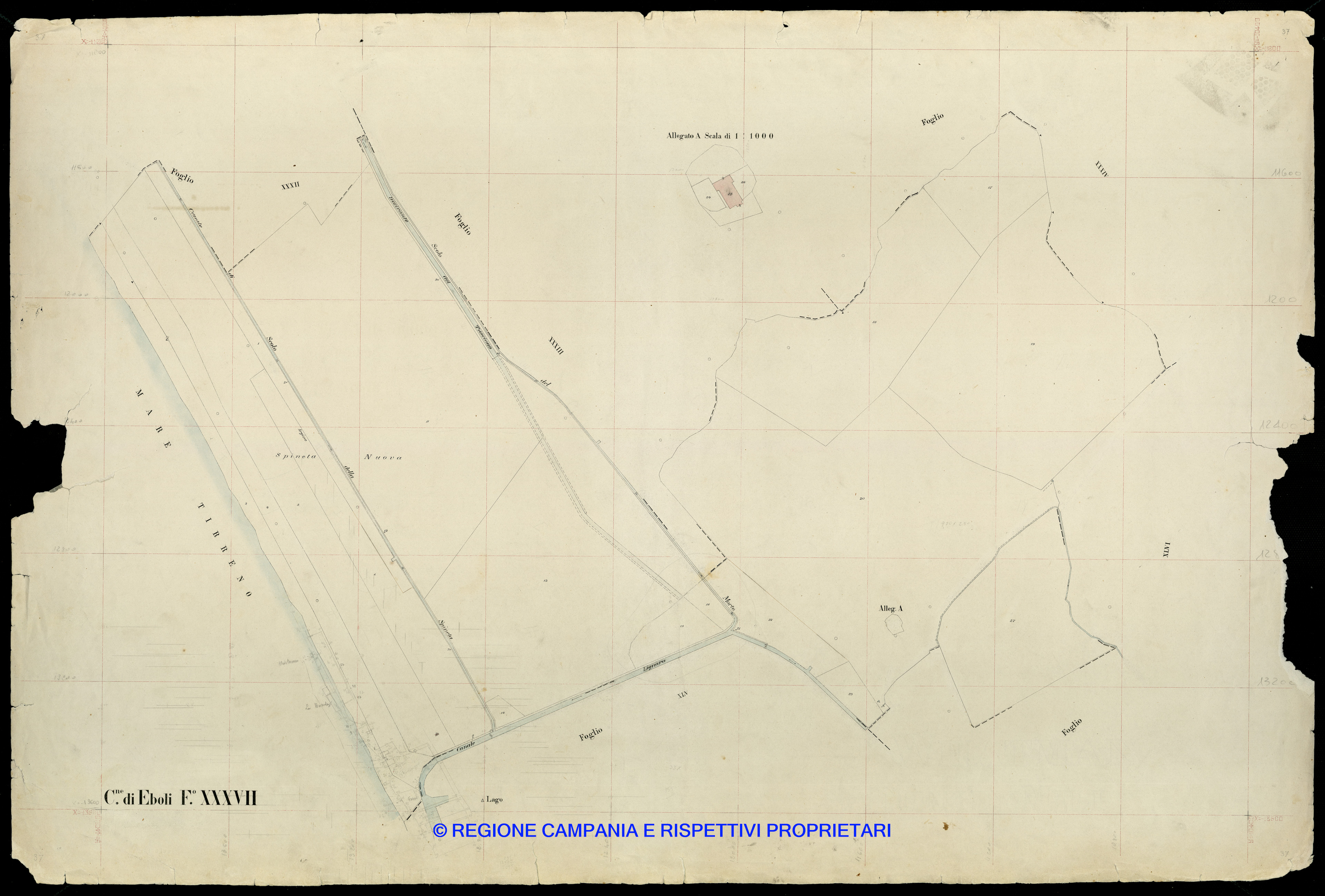 Mappa