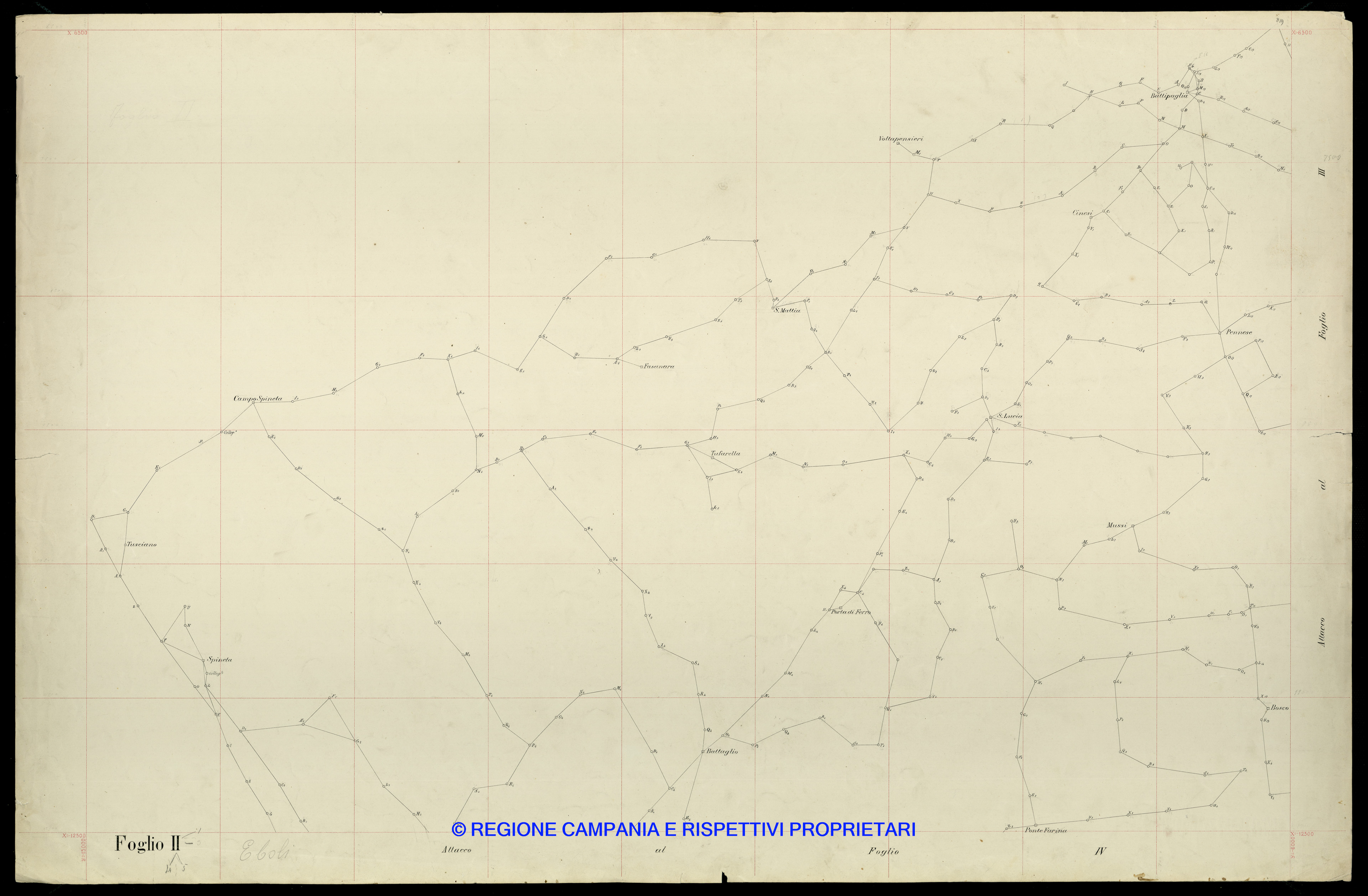 Grafico delle Poligonali