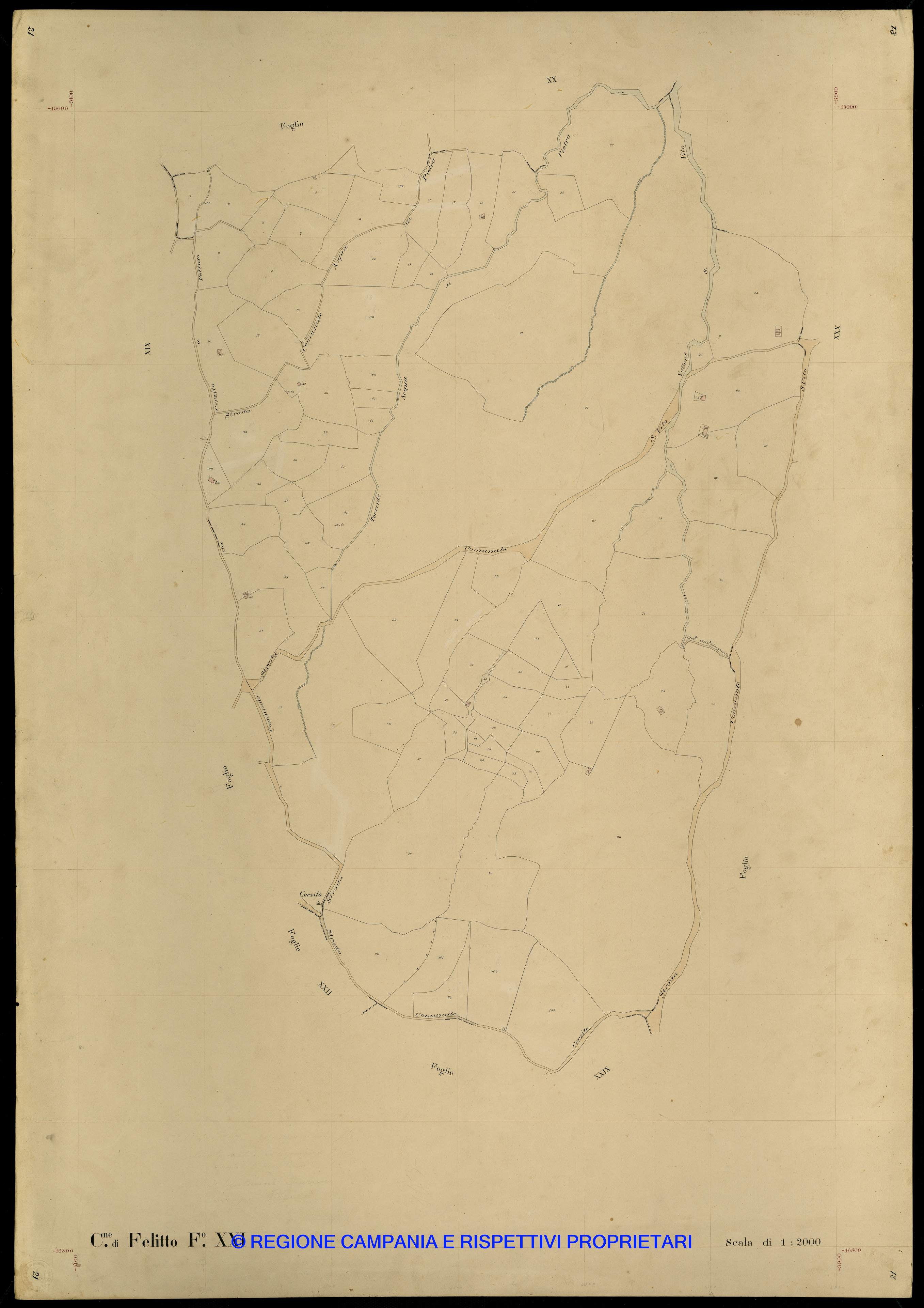 Mappa
