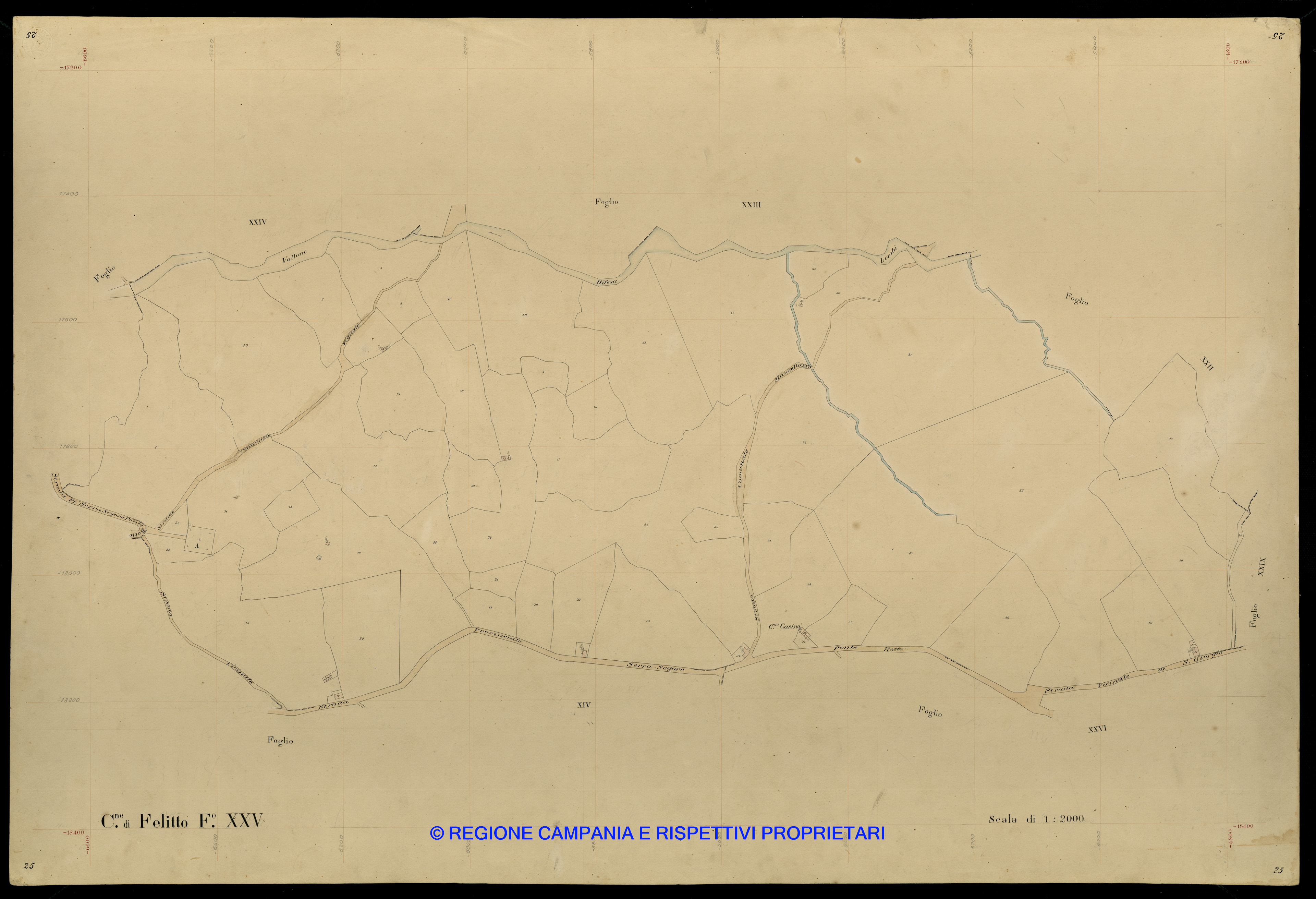 Mappa