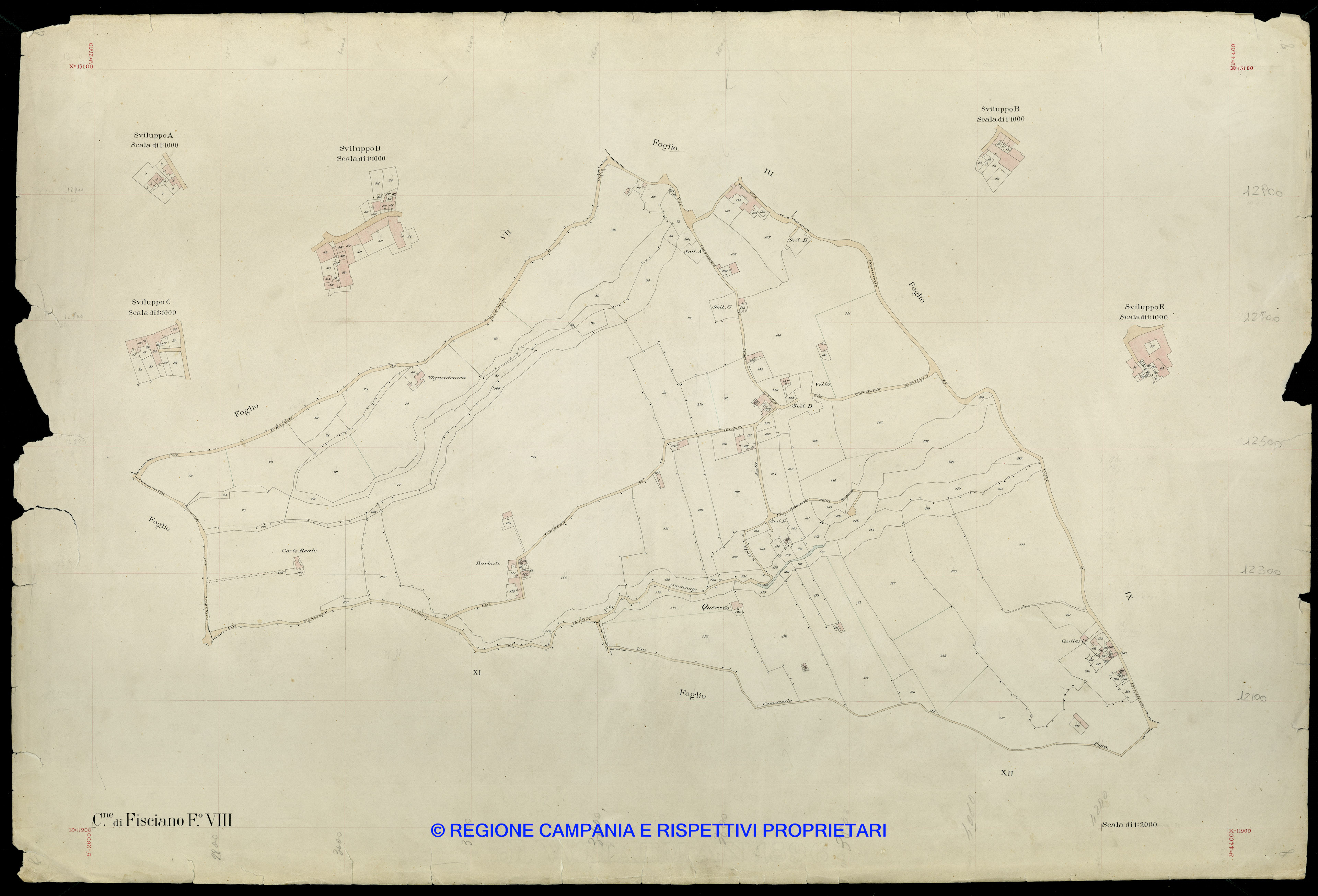 Mappa