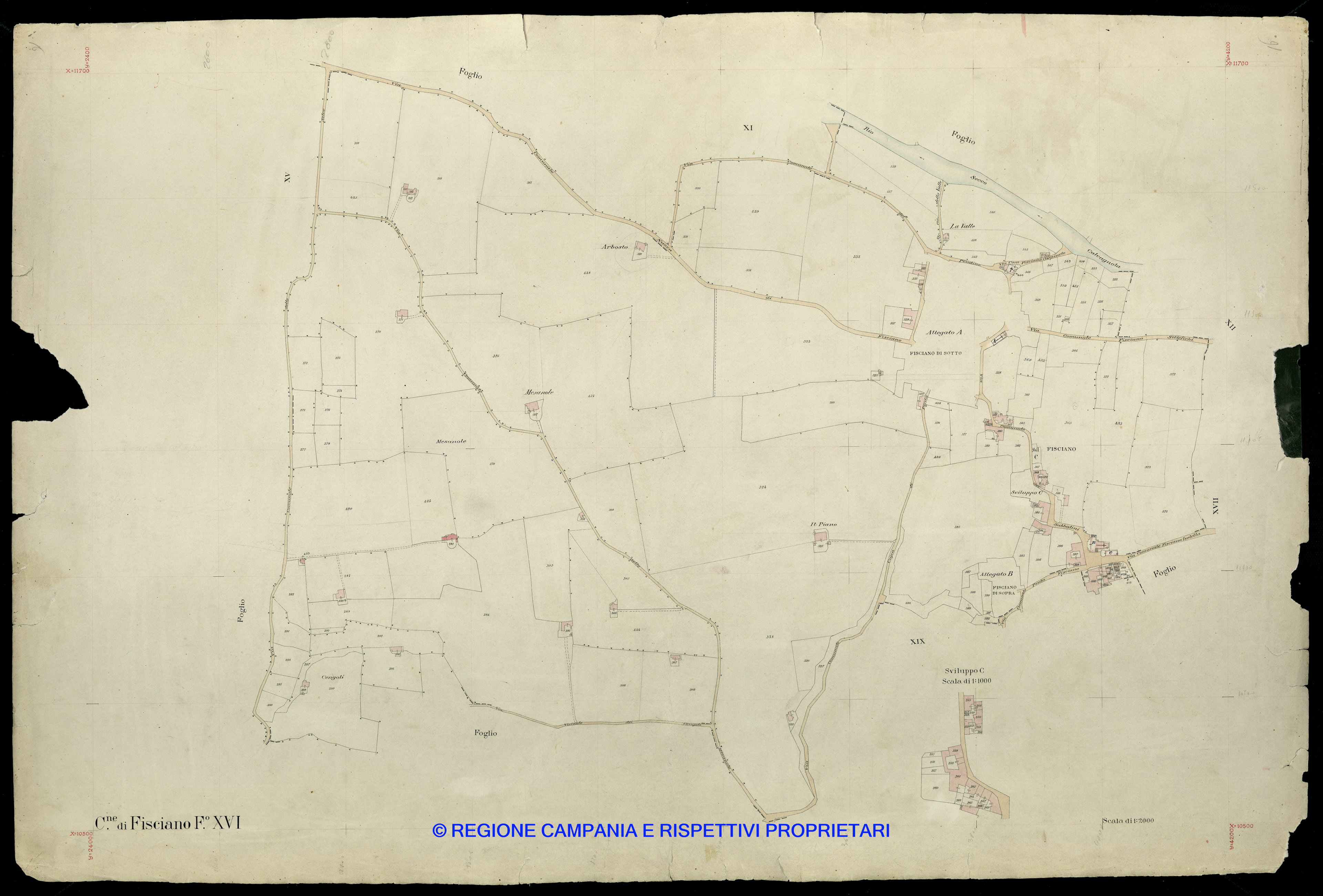 Mappa