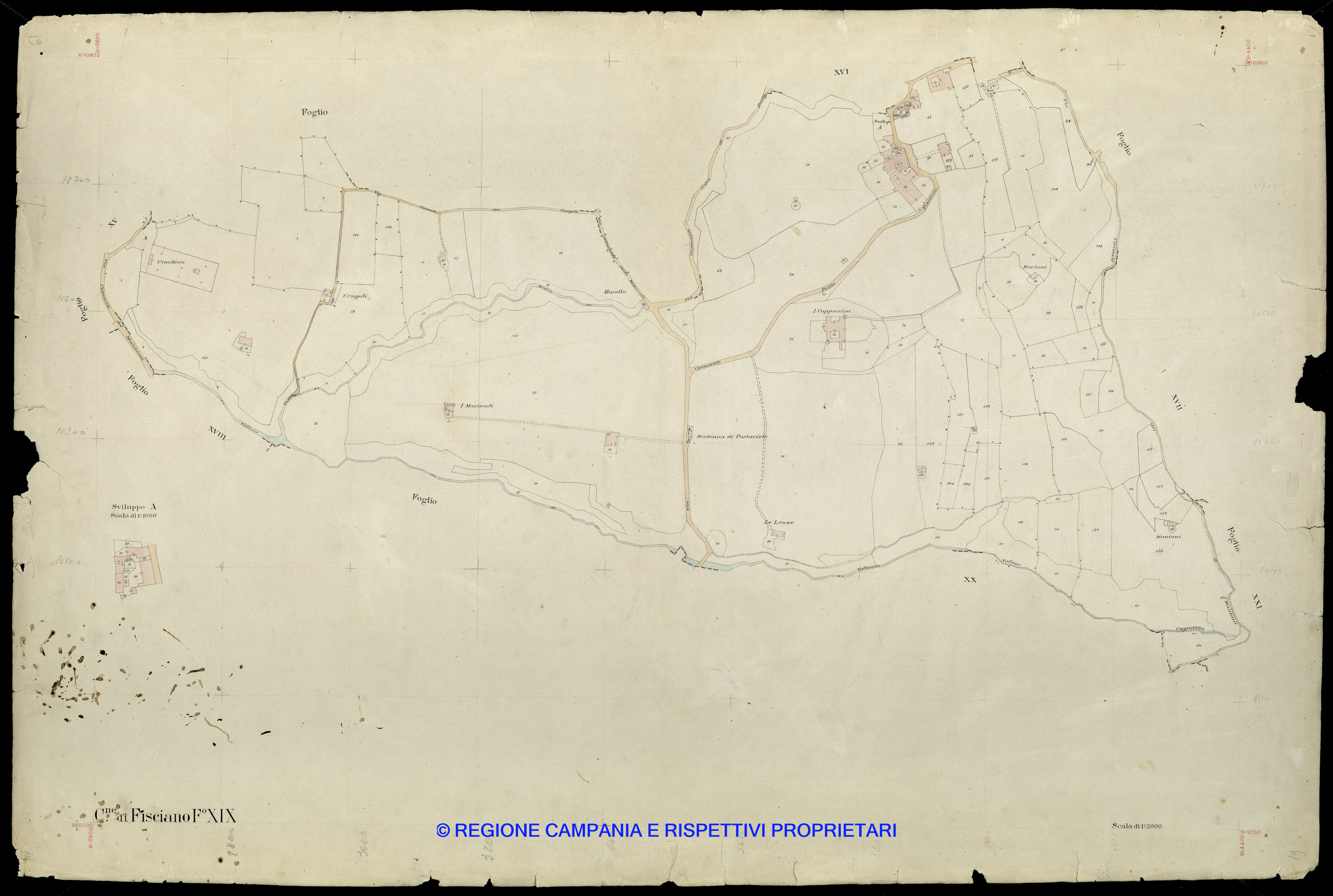 Mappa