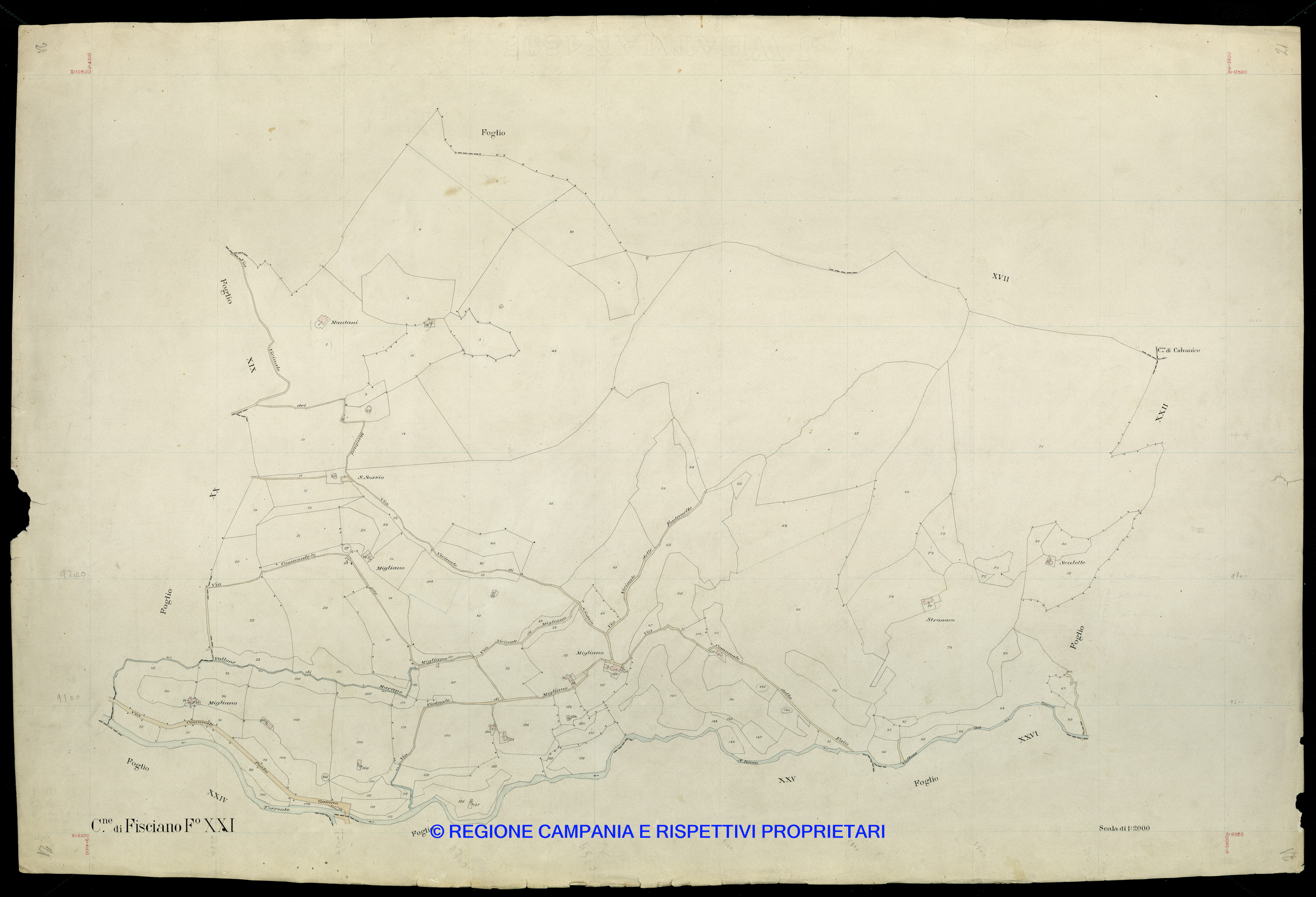 Mappa