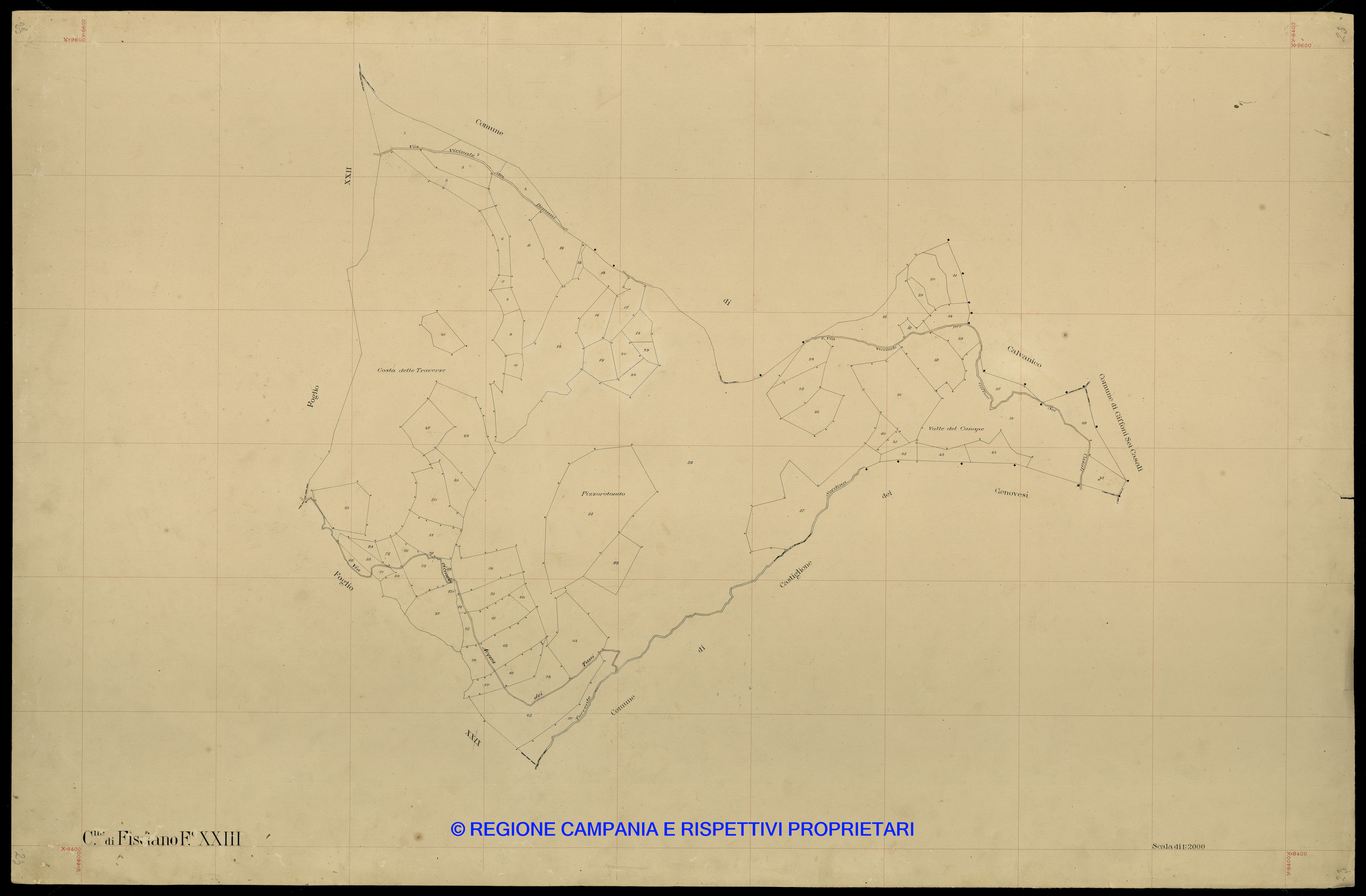 Mappa