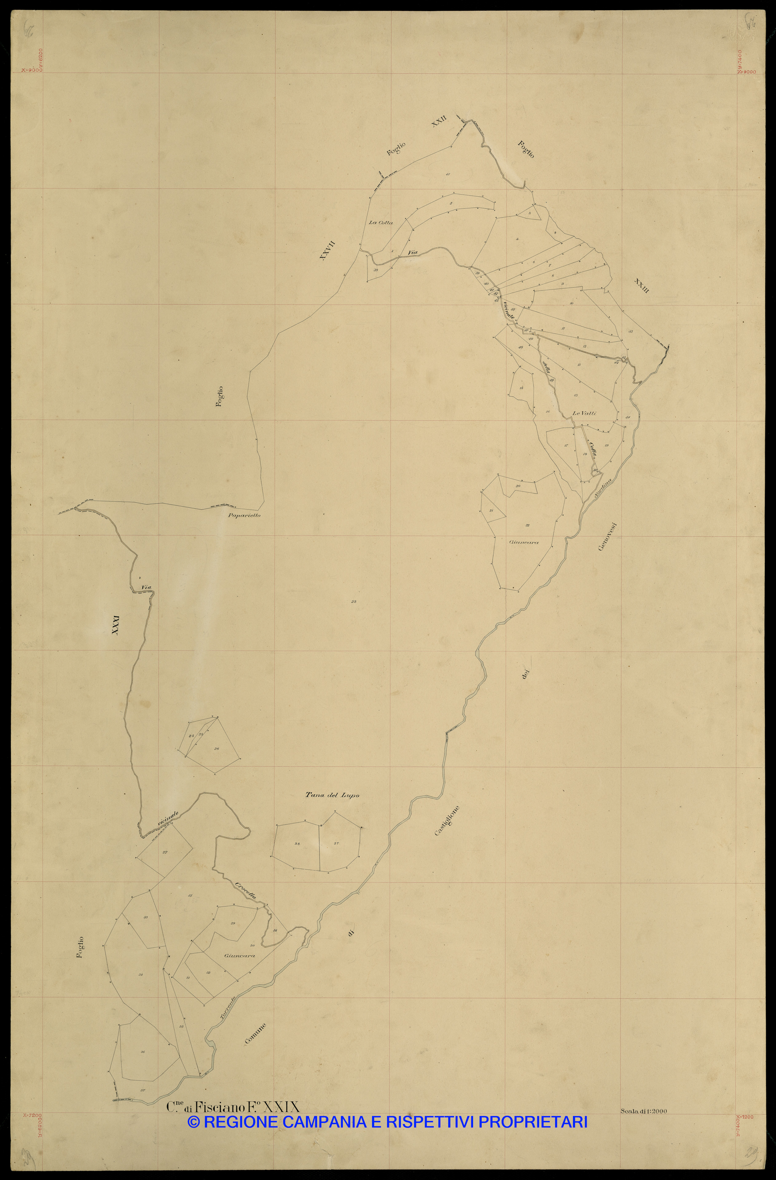Mappa