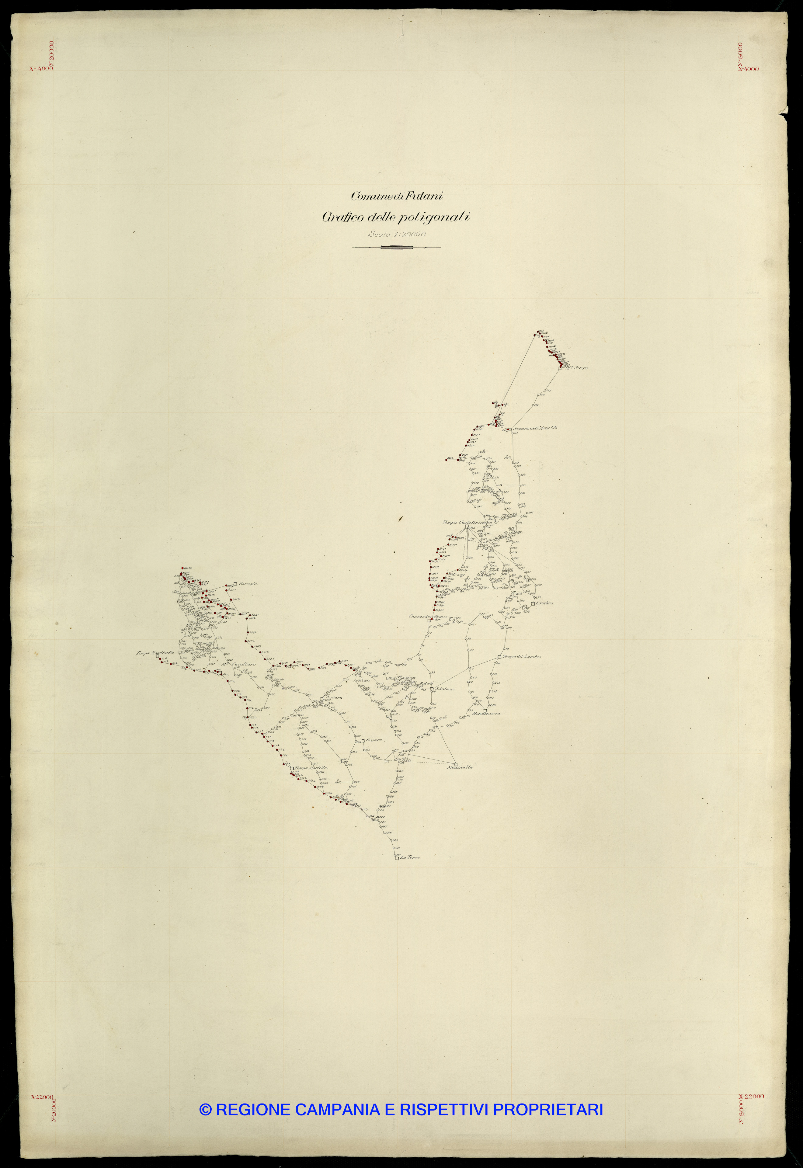 Grafico delle Poligonali