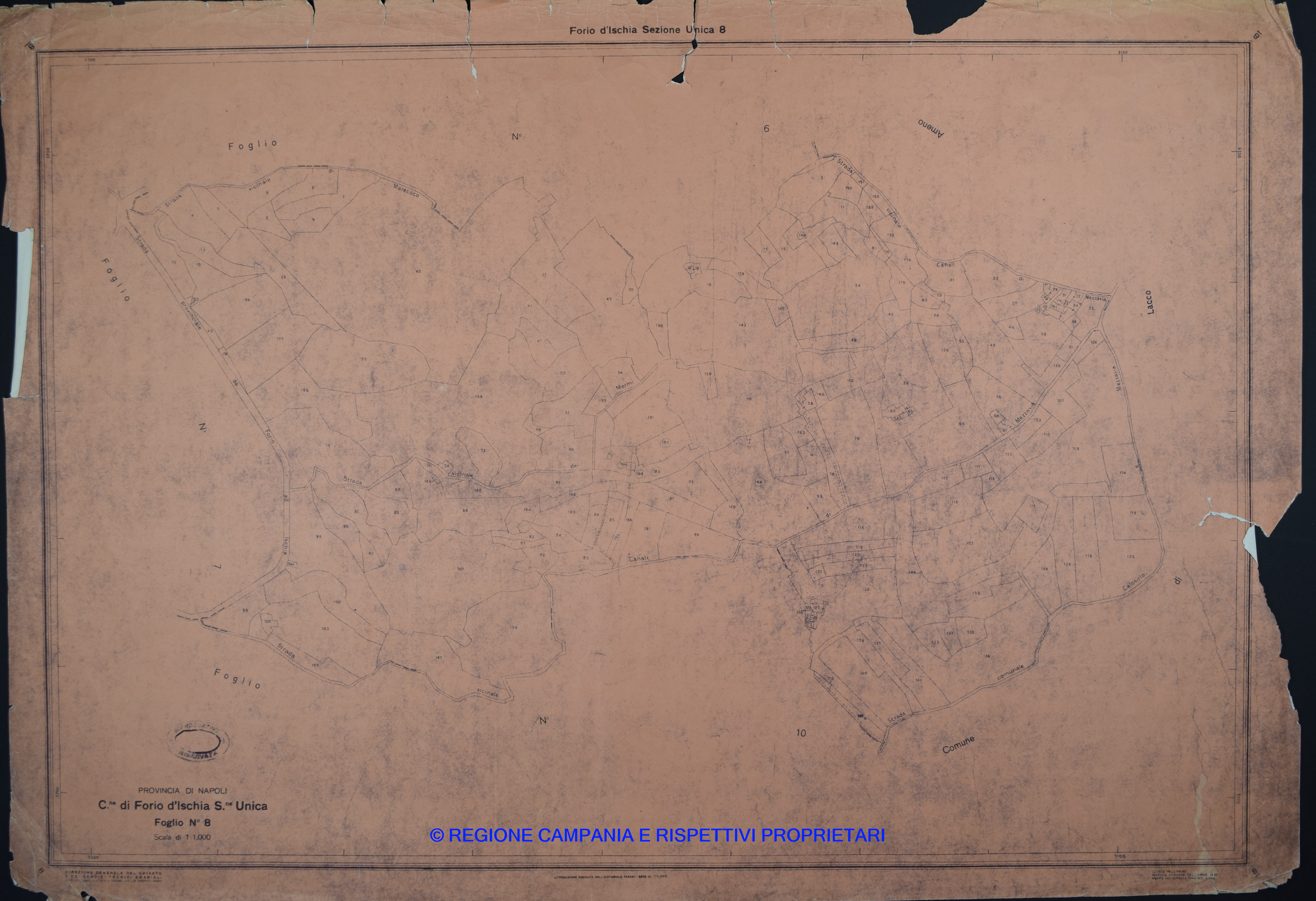 Mappa