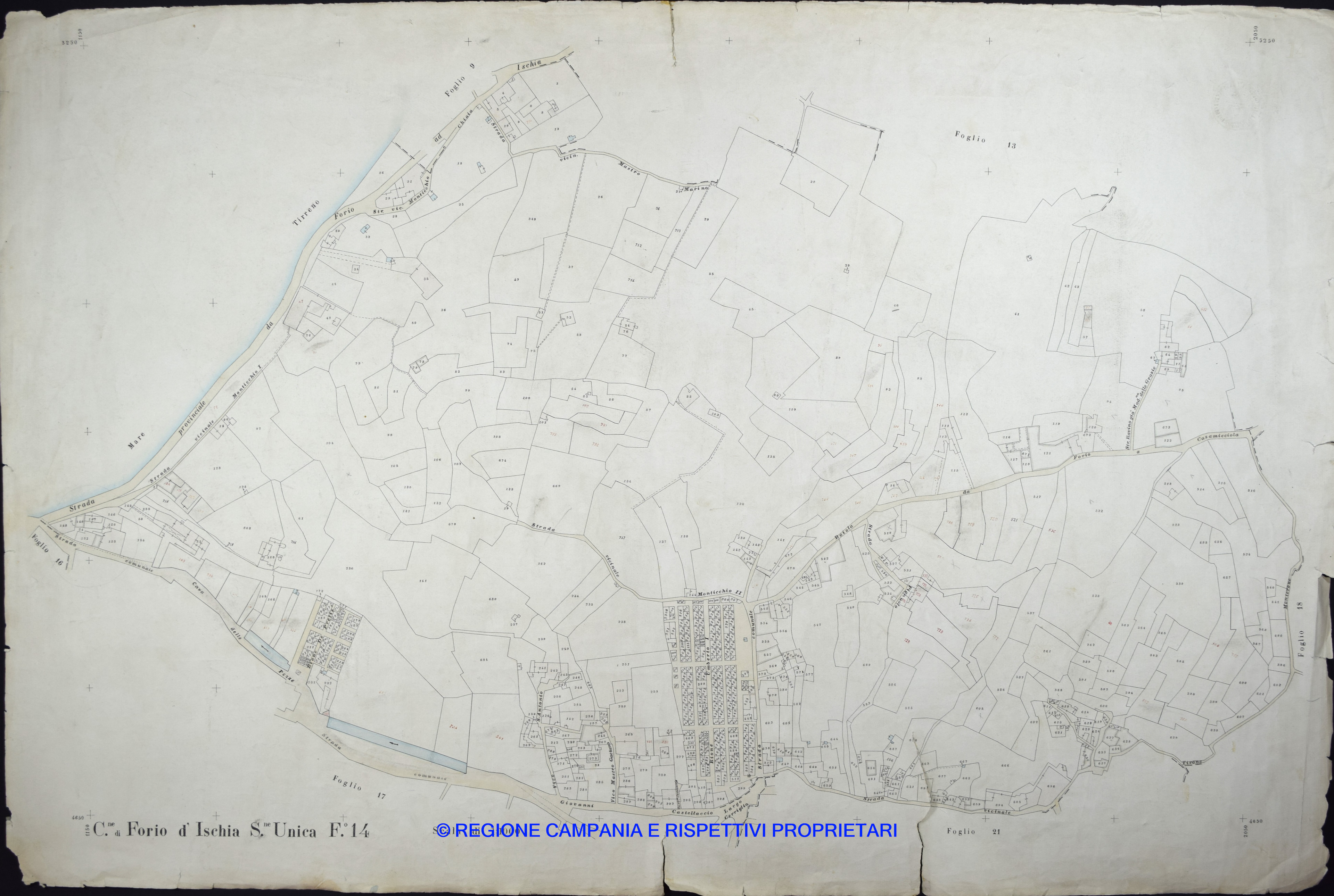 Mappa