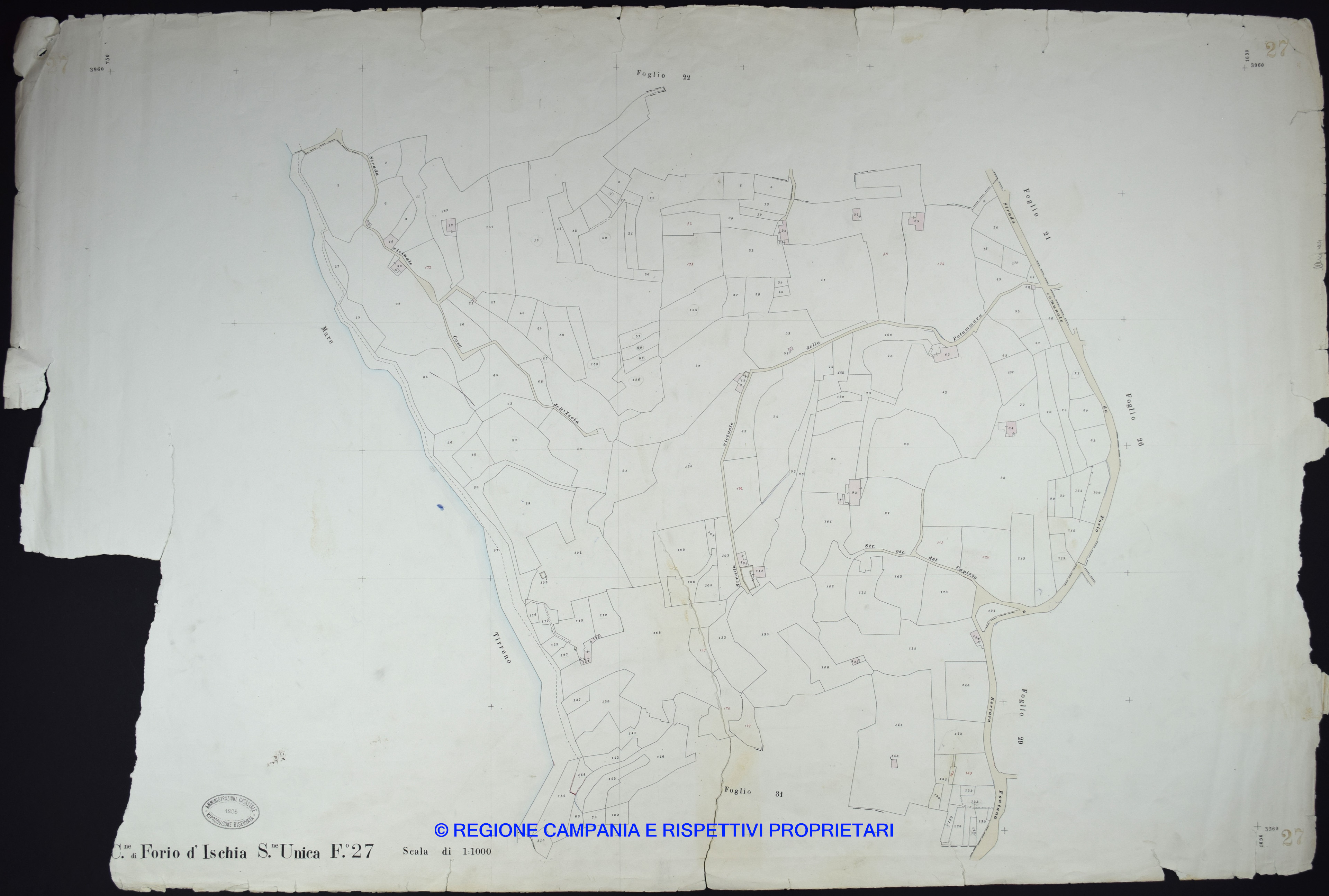 Mappa