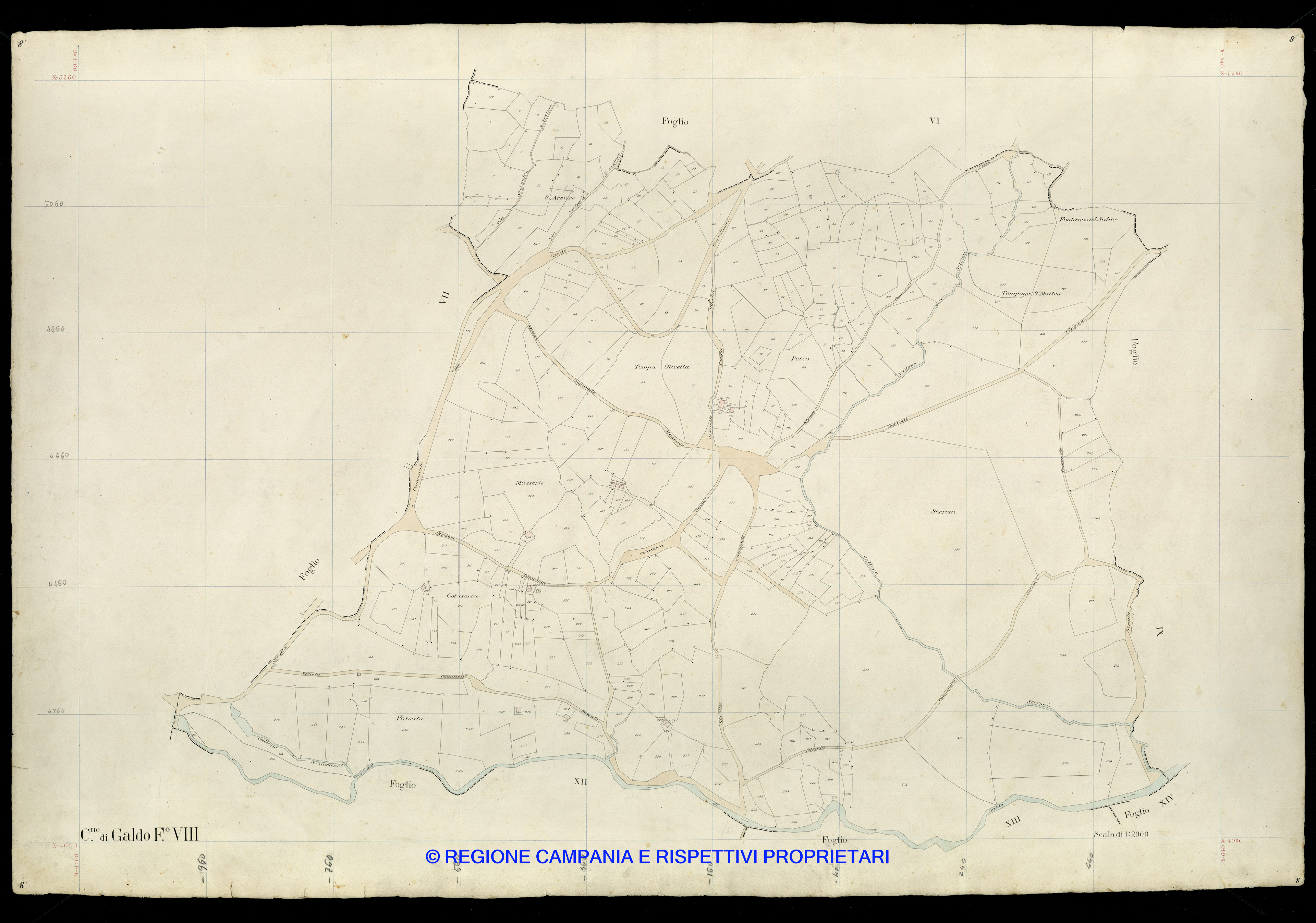 Mappa