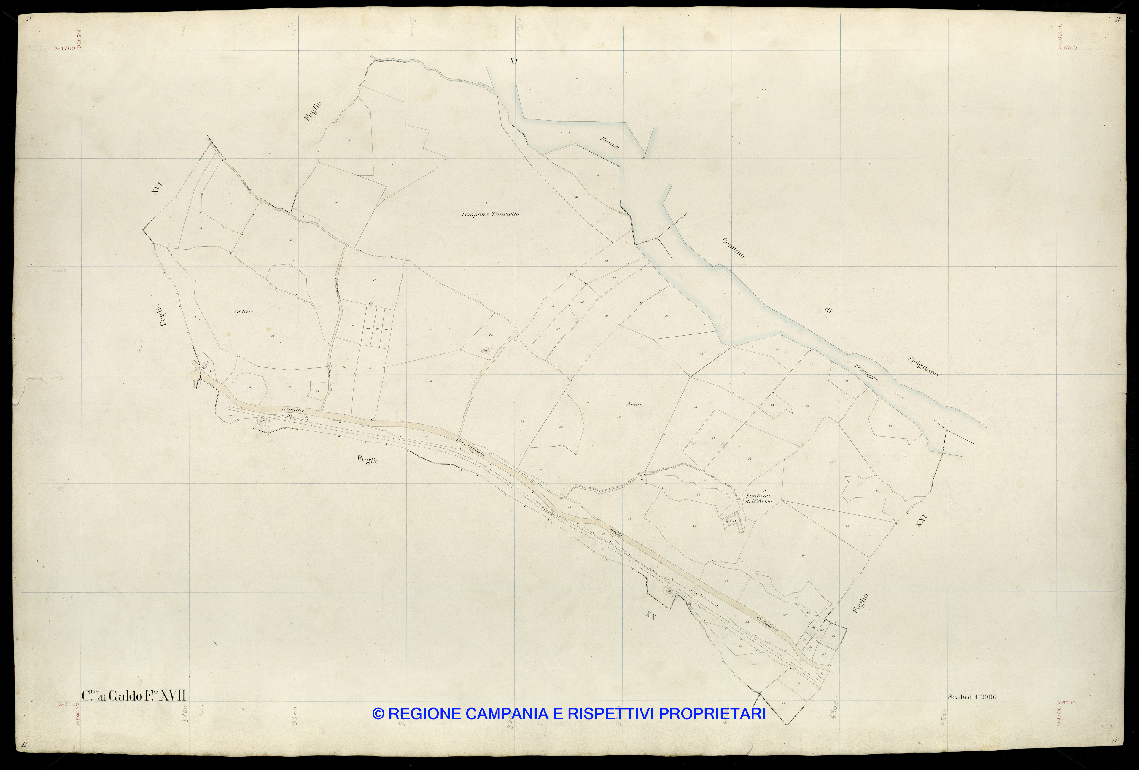 Mappa