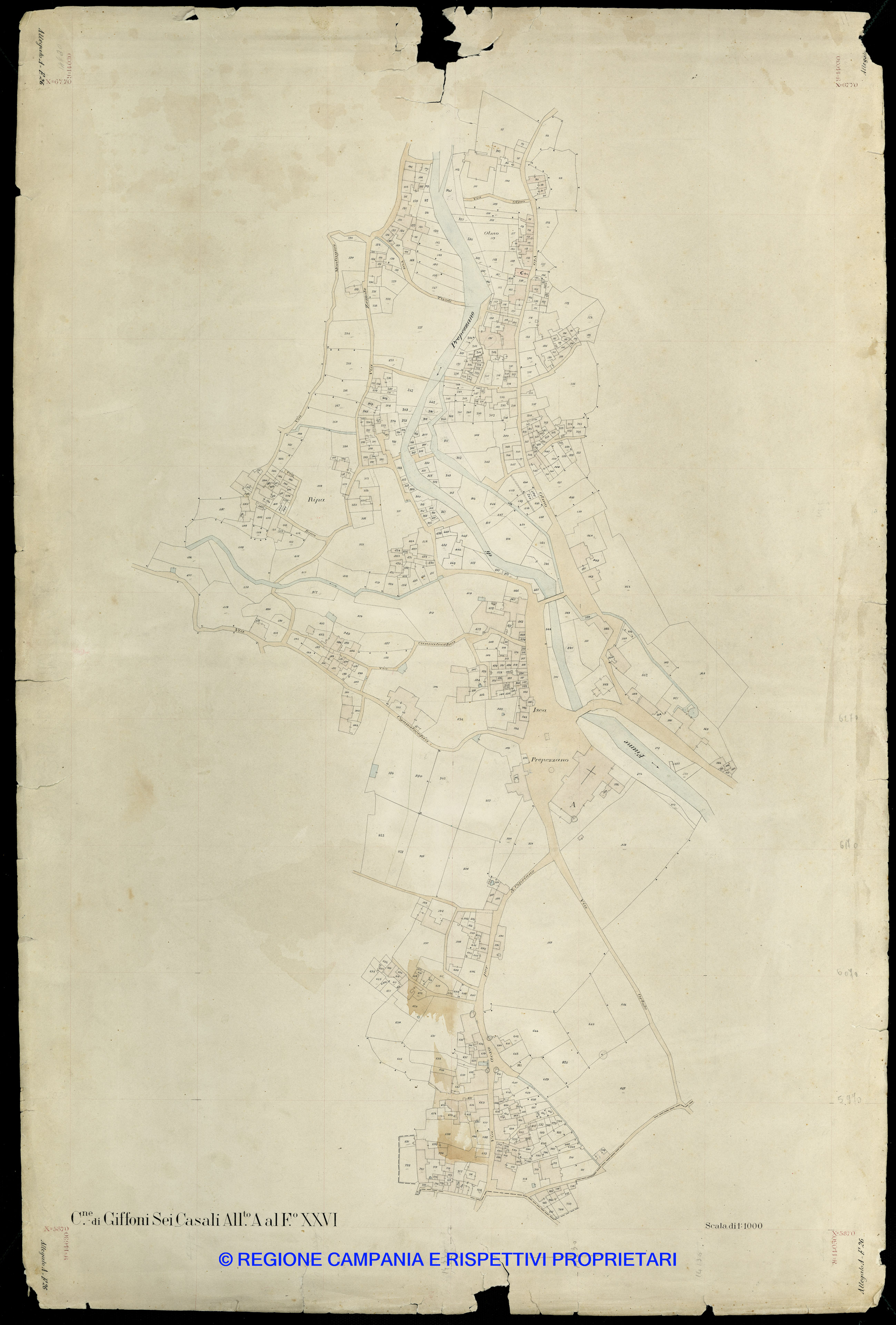 Mappa