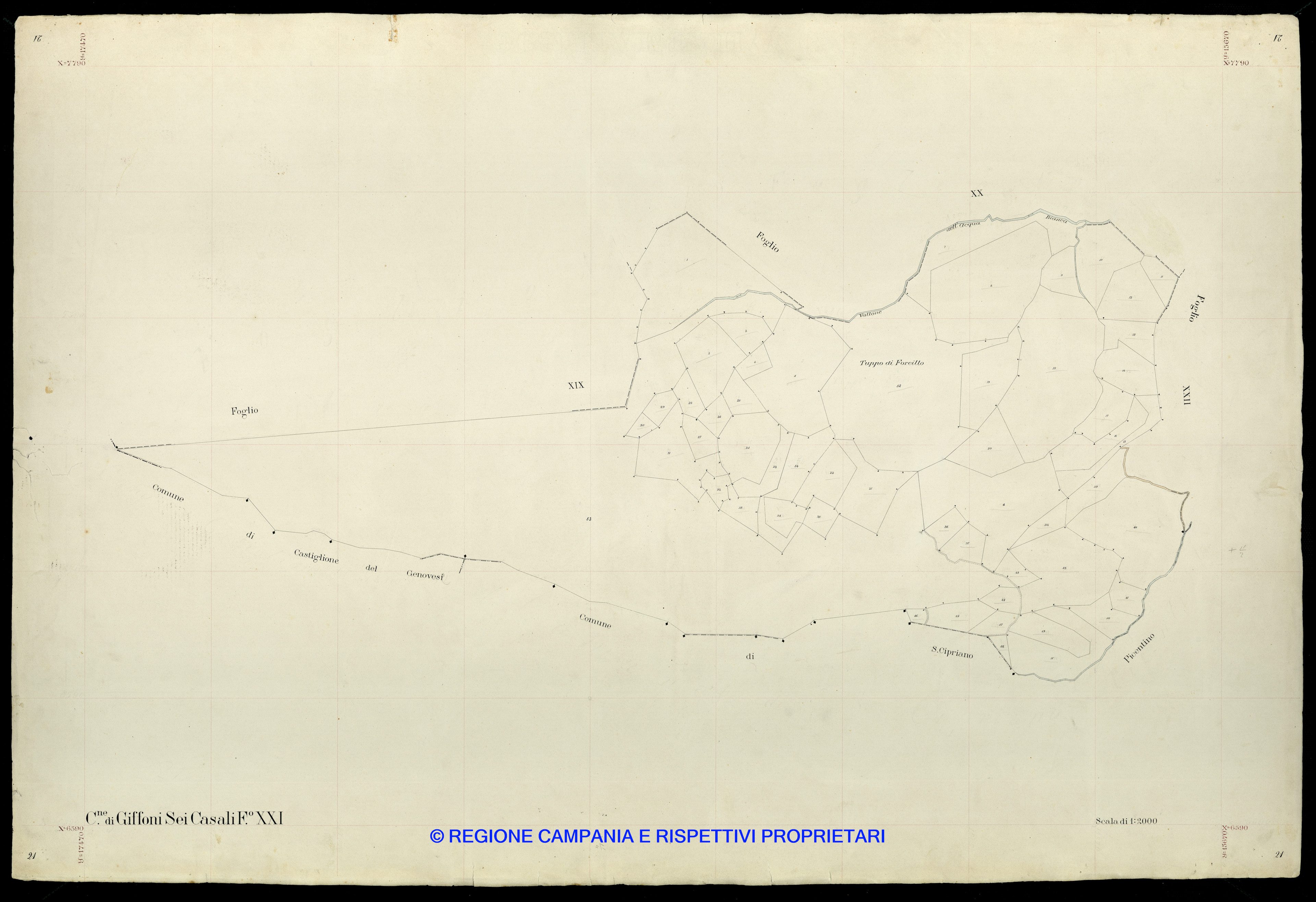 Mappa