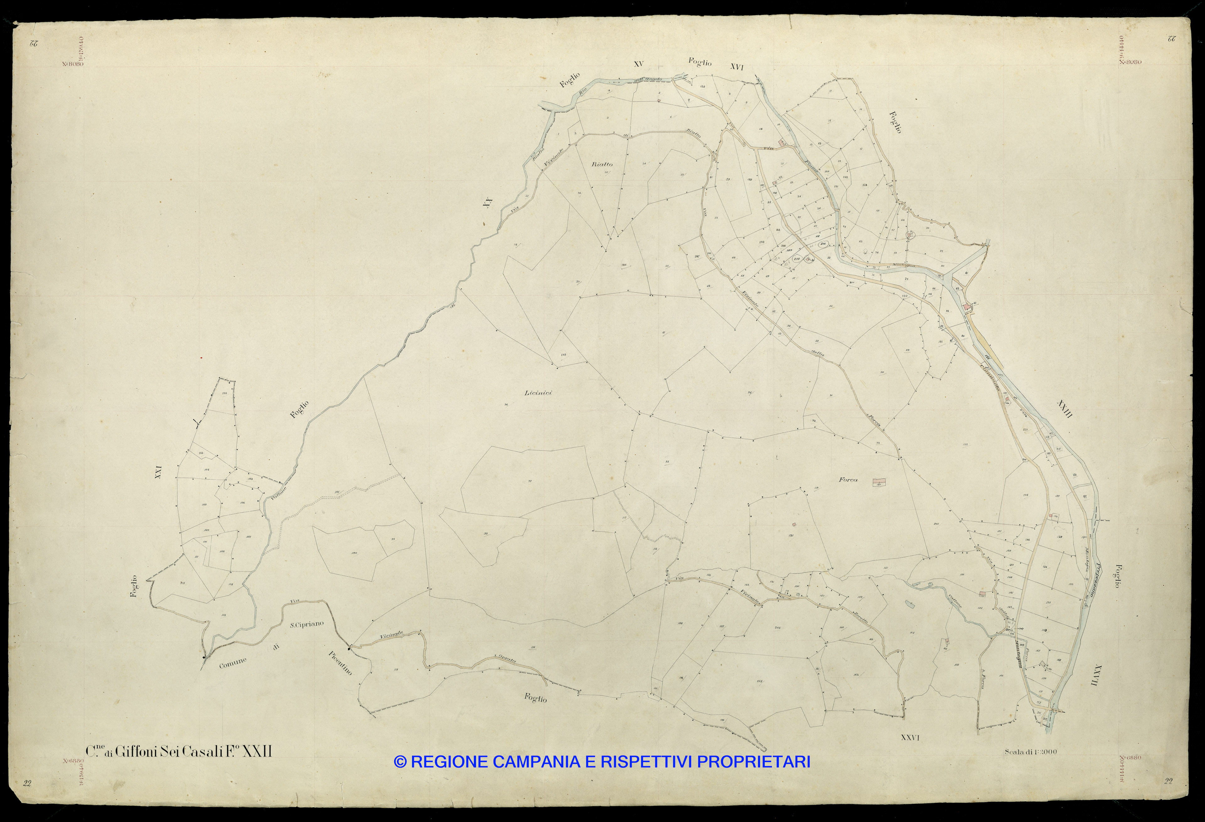 Mappa