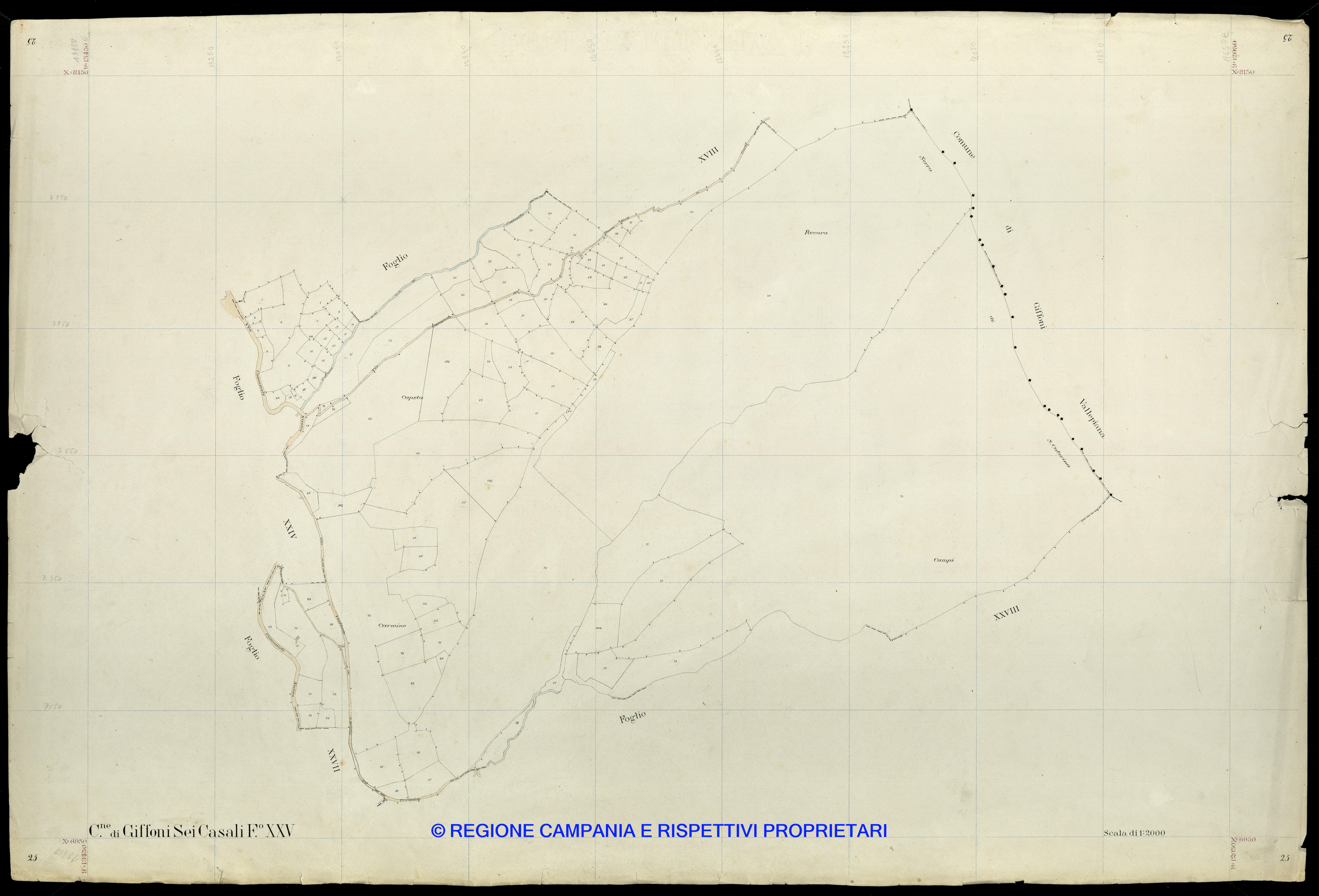 Mappa
