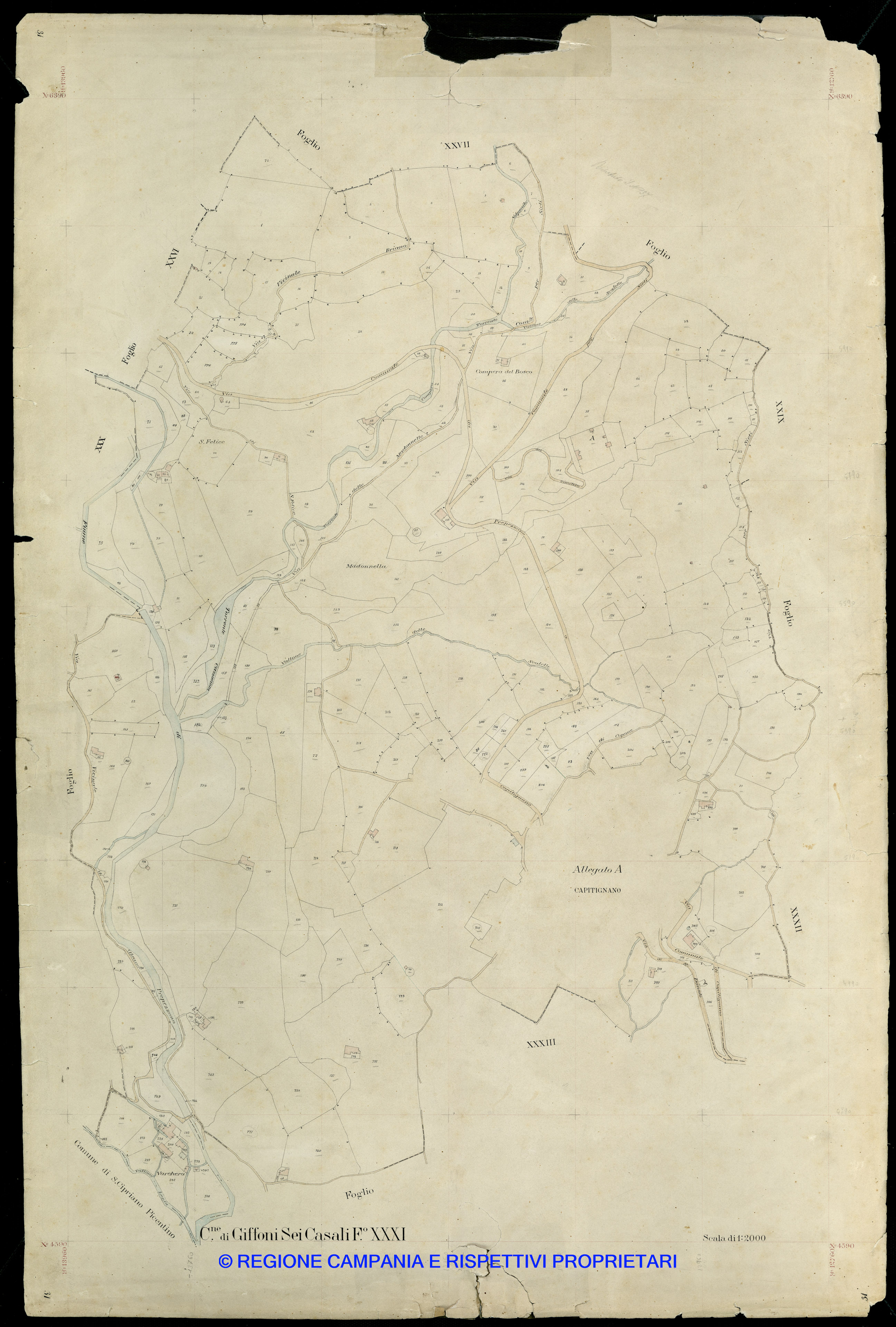 Mappa