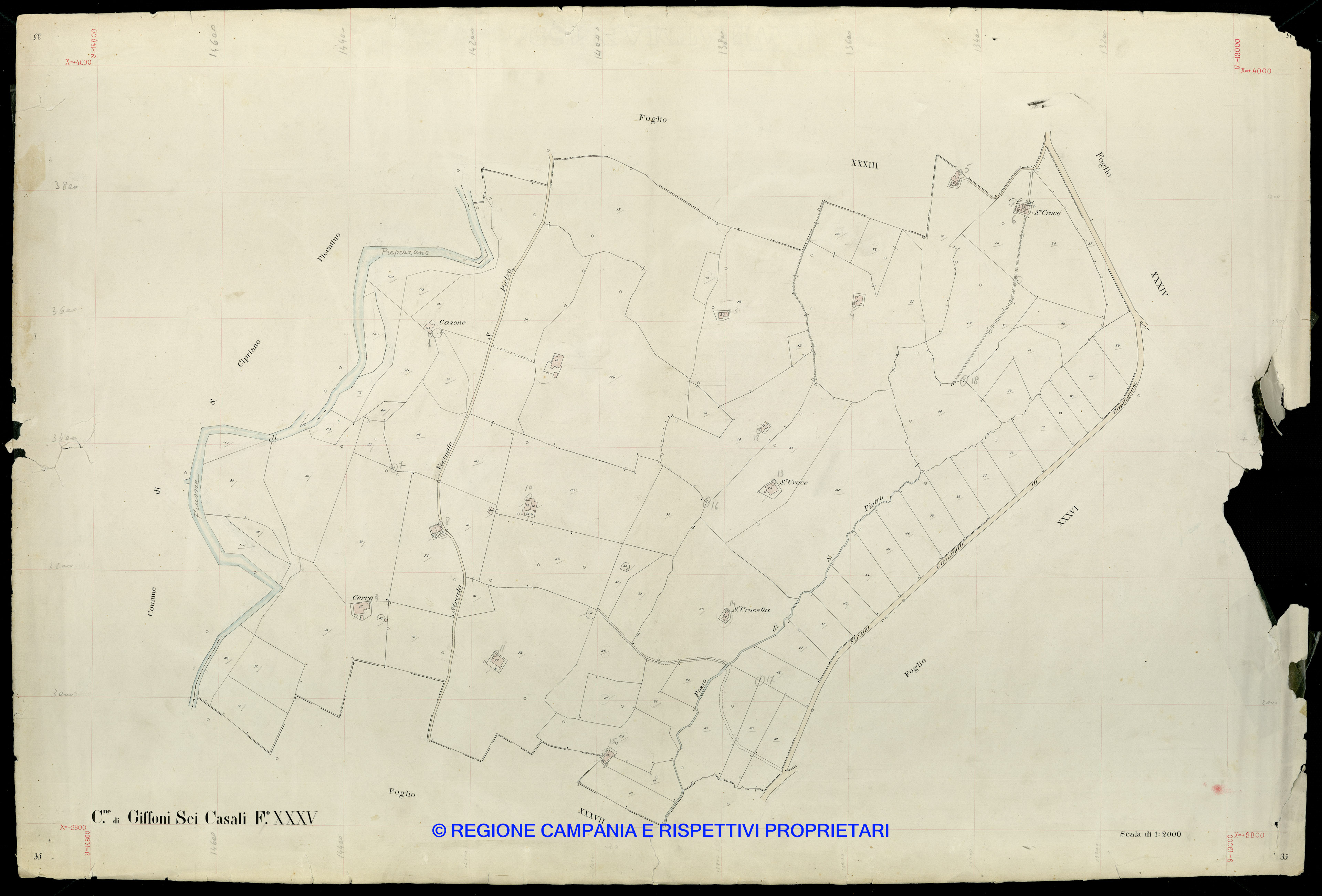 Mappa