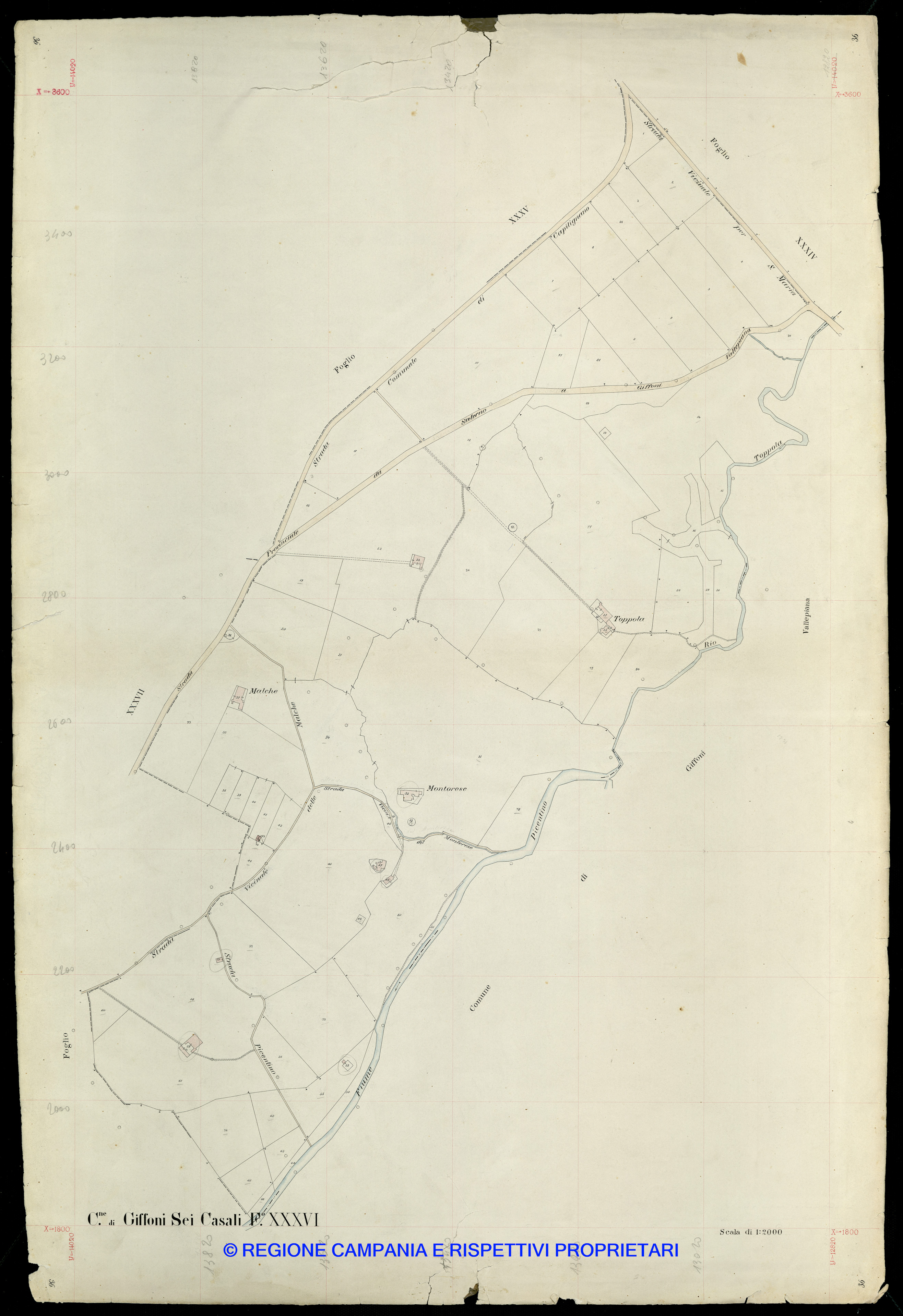 Mappa