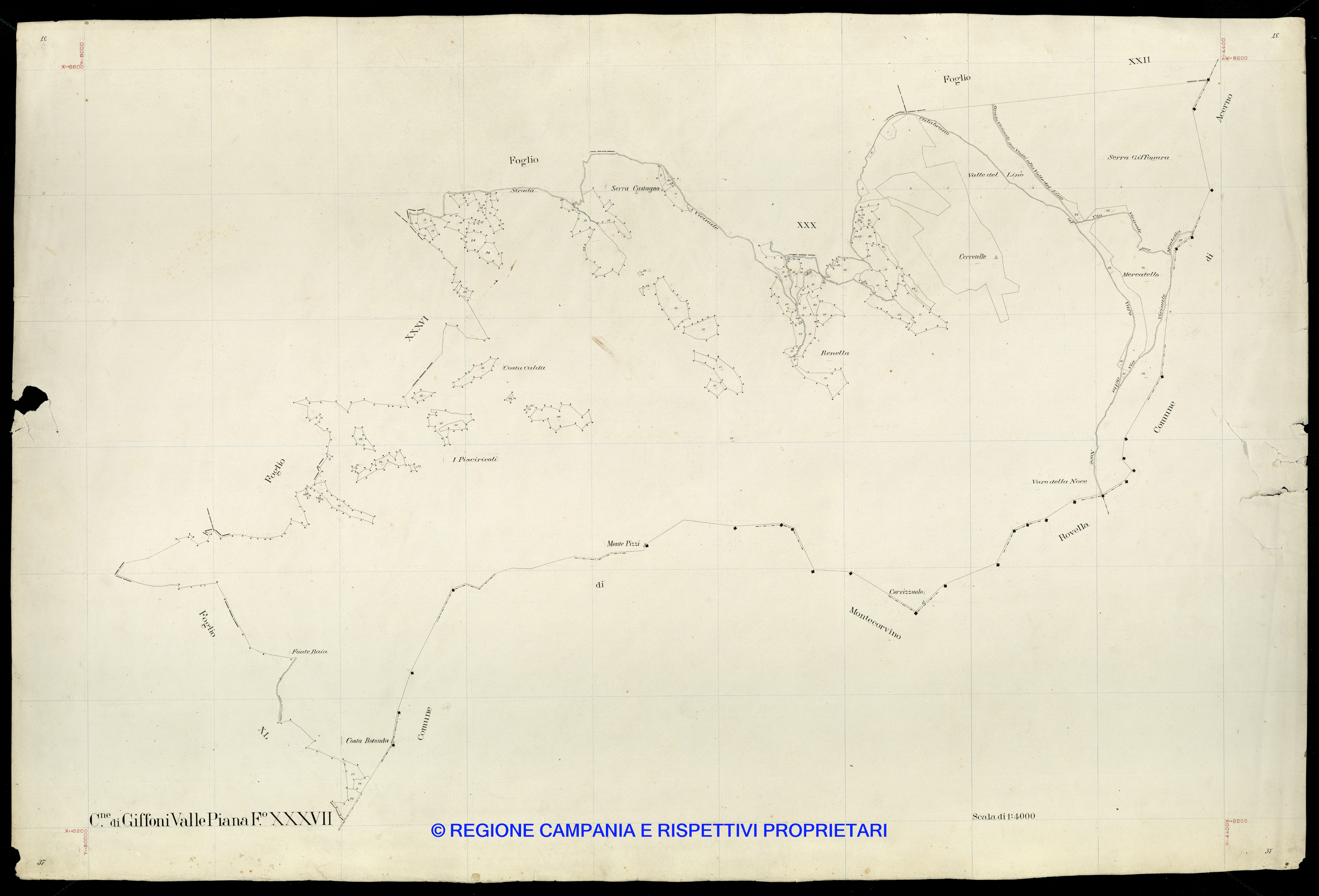 Mappa