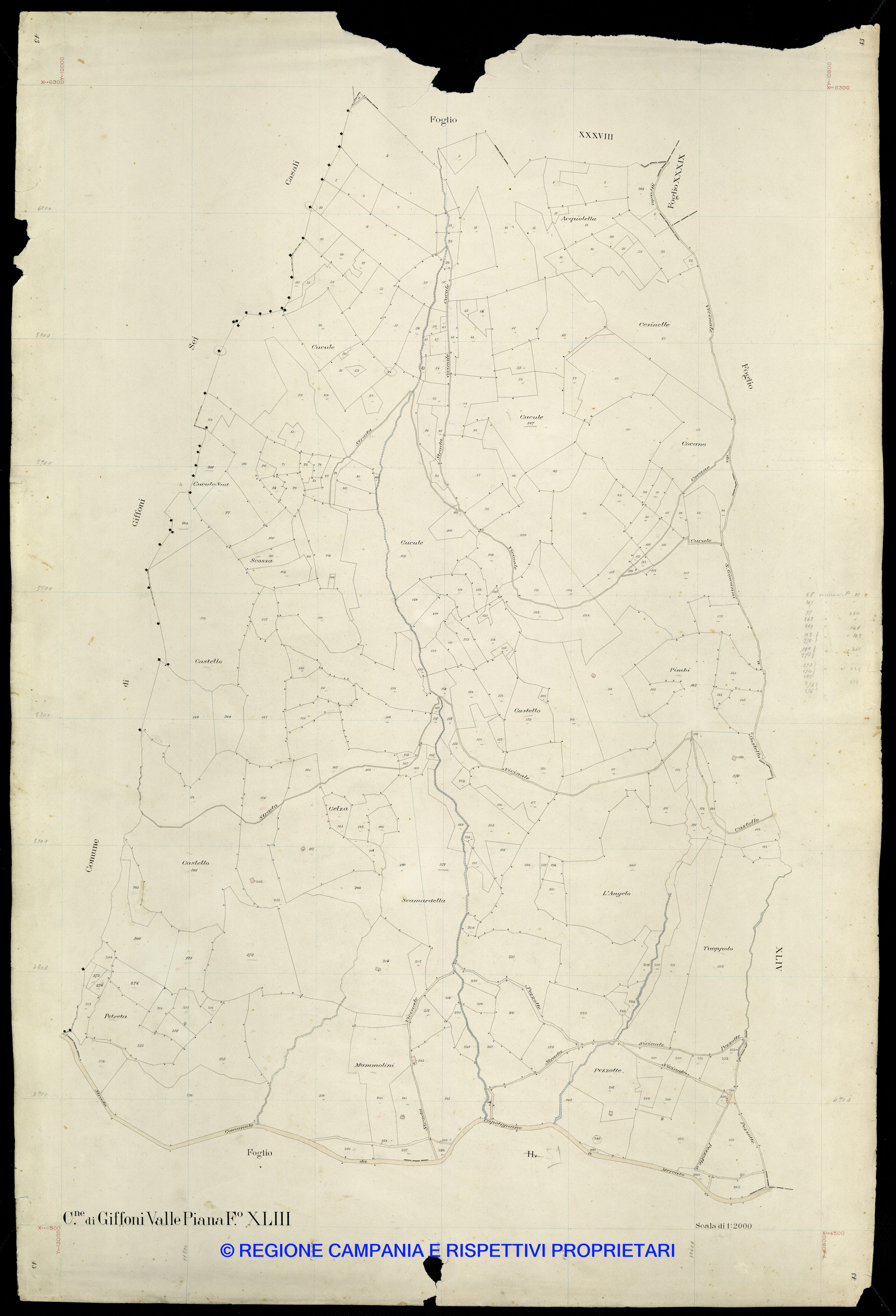 Mappa
