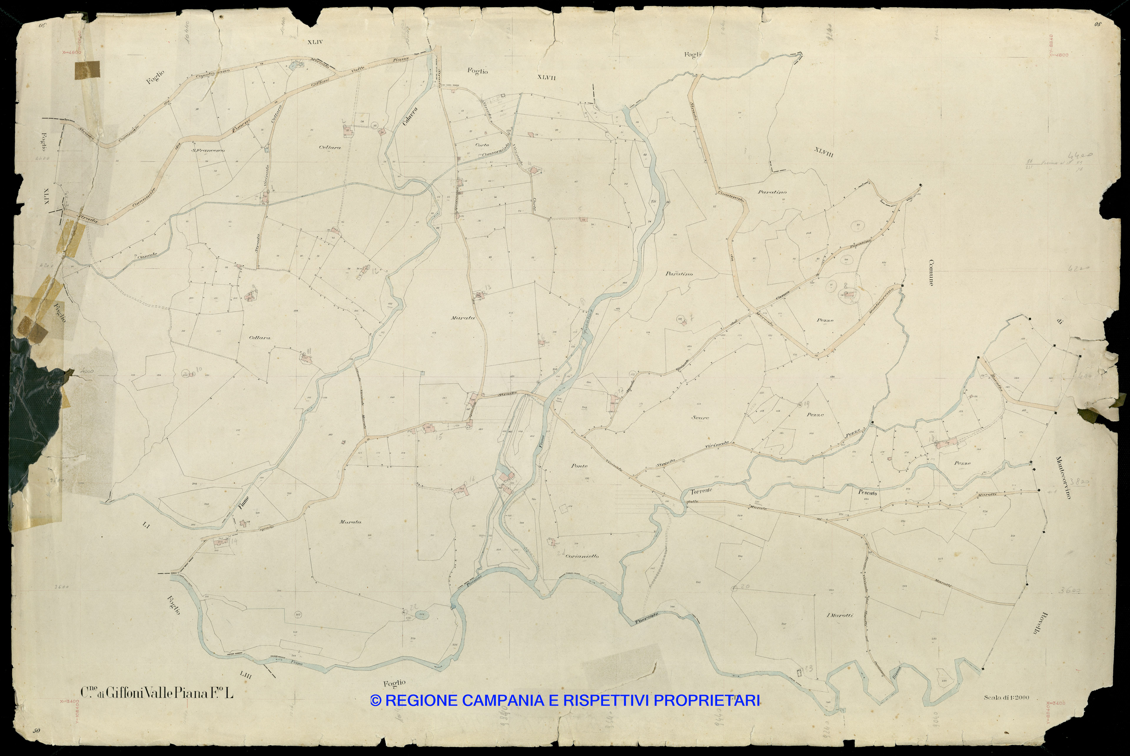 Mappa