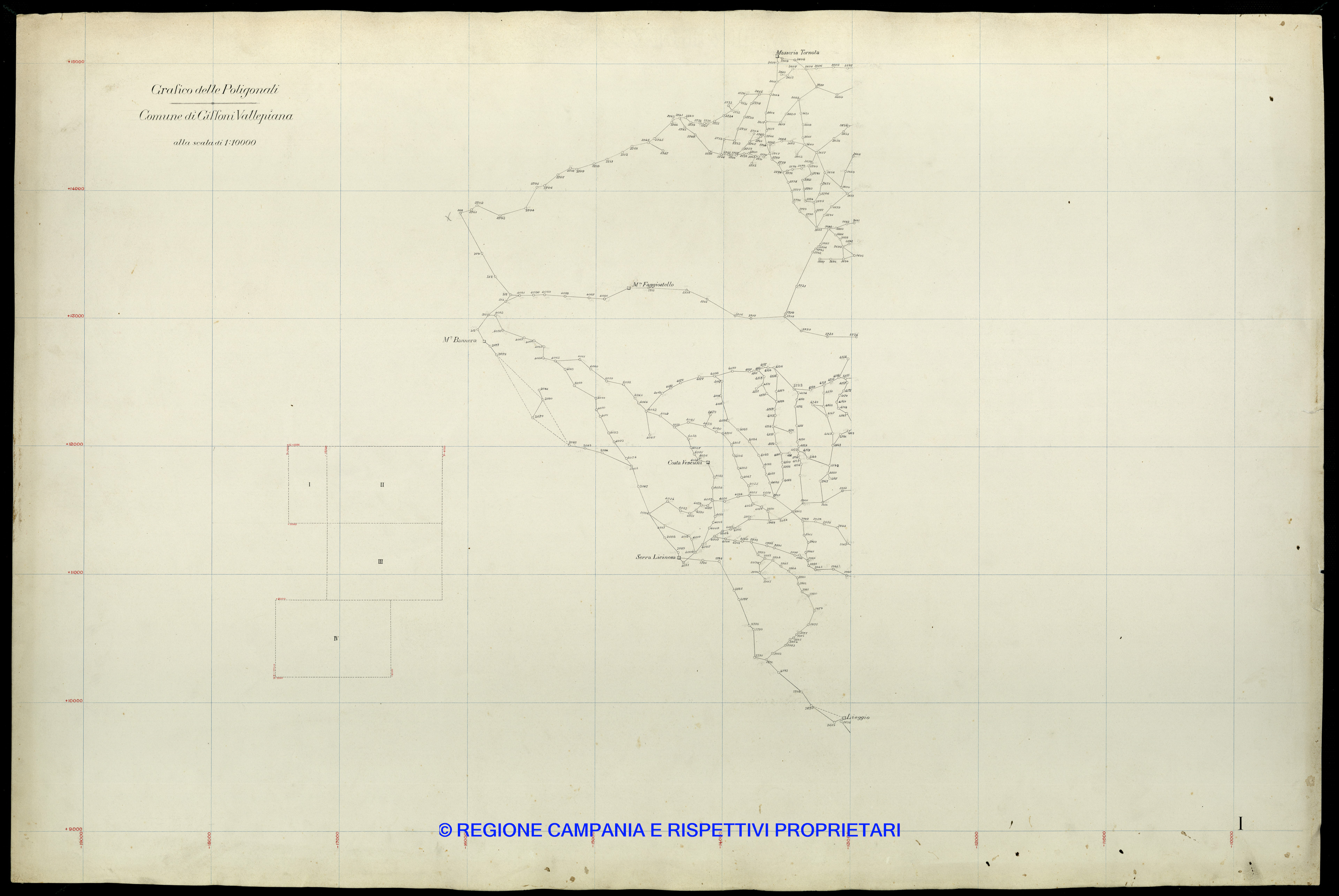 Grafico delle Poligonali
