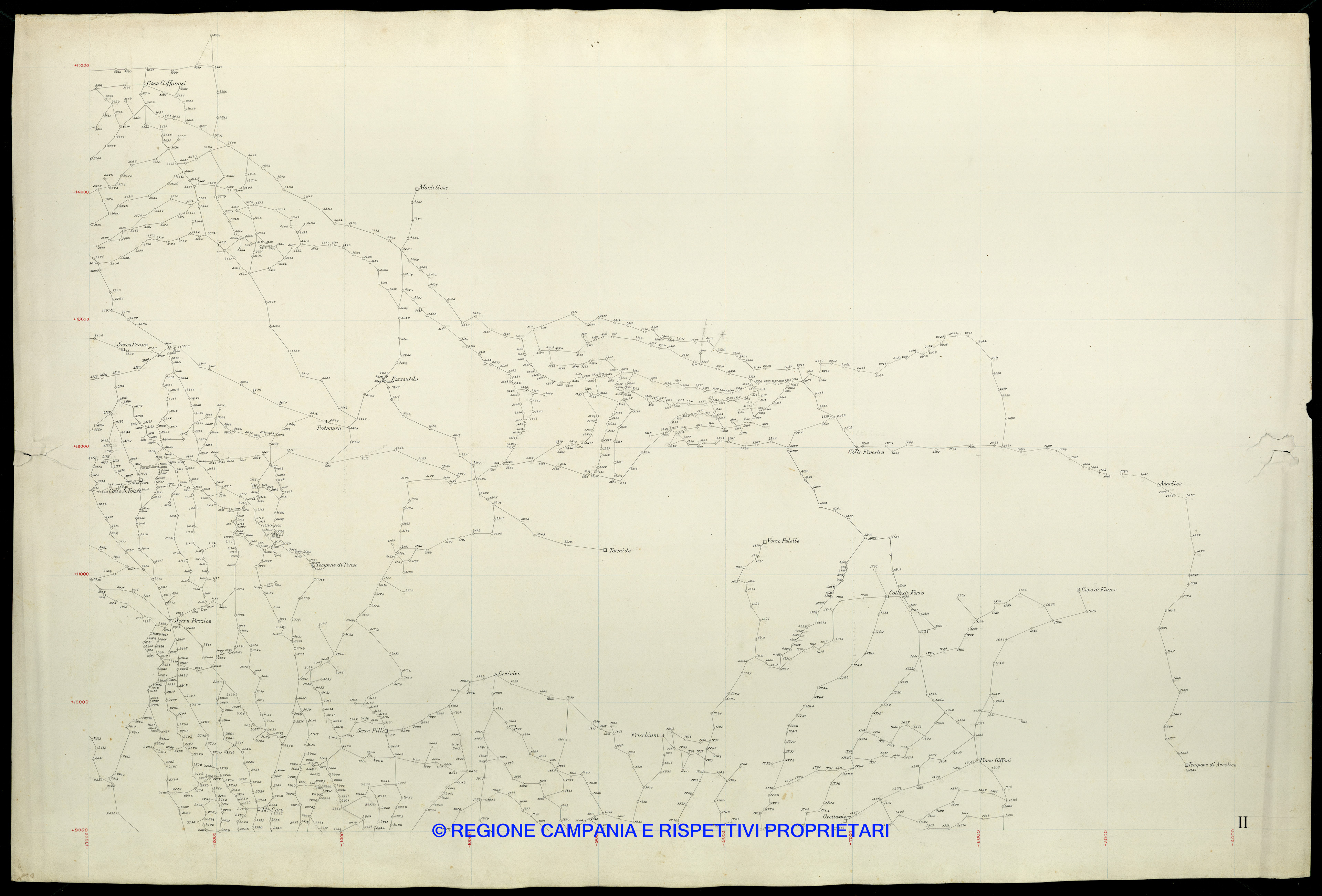 Grafico delle Poligonali