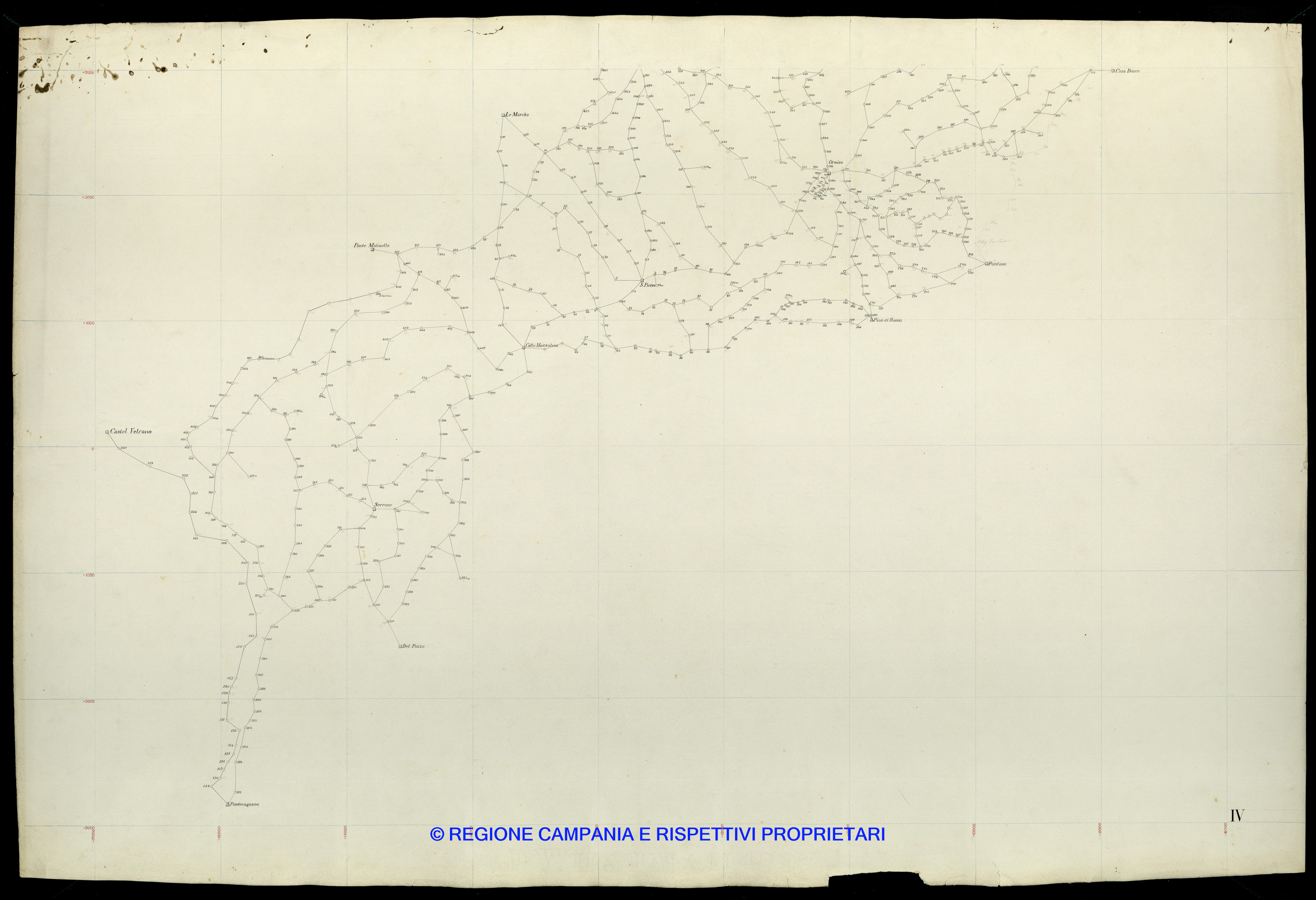 Grafico delle Poligonali