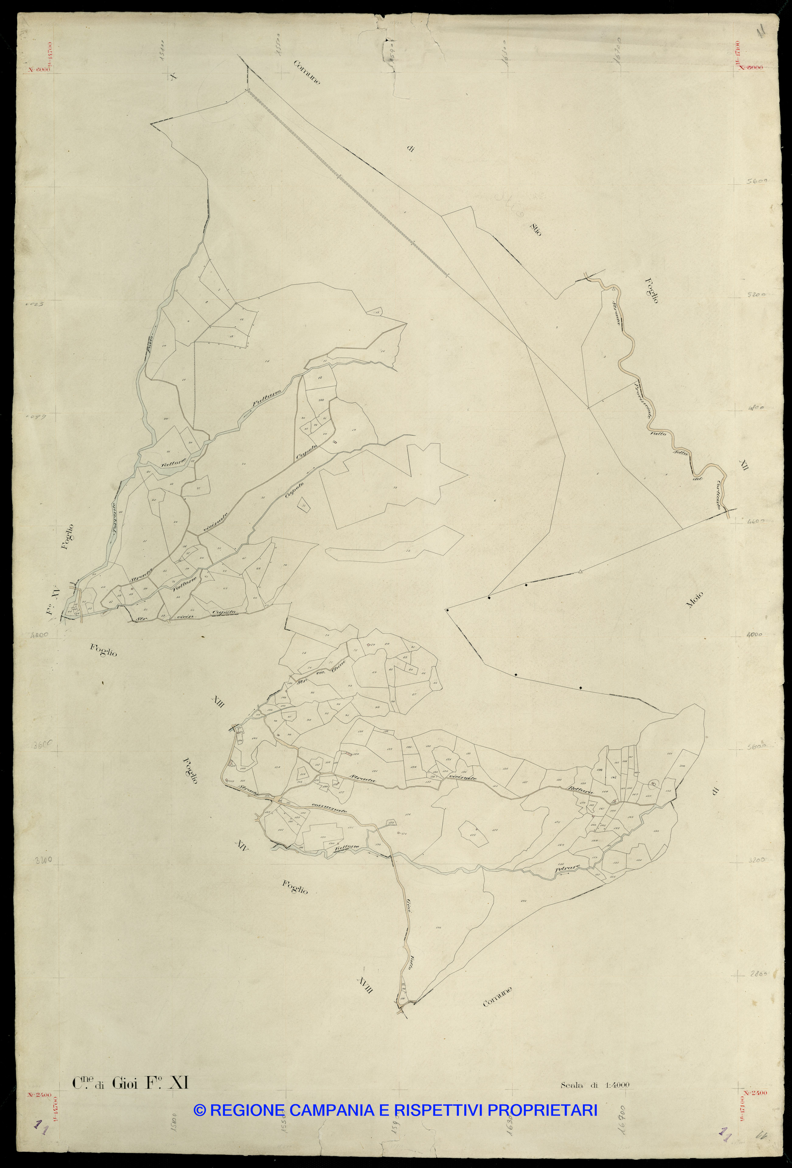 Mappa