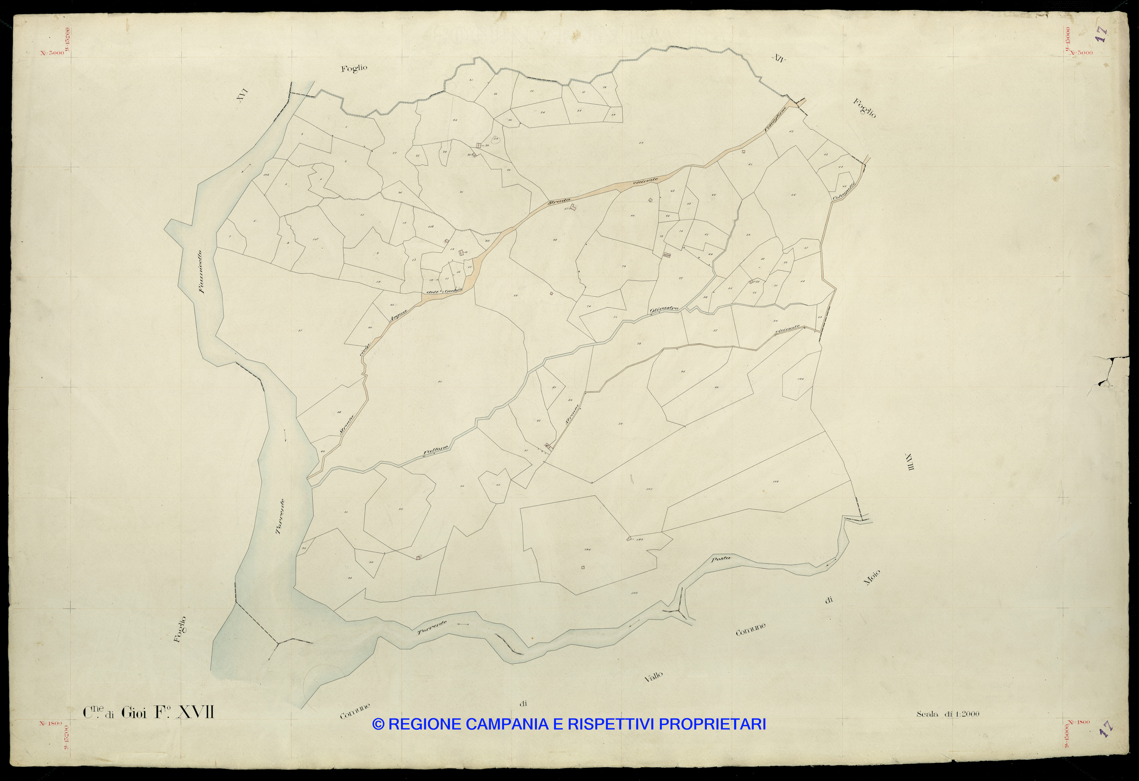 Mappa