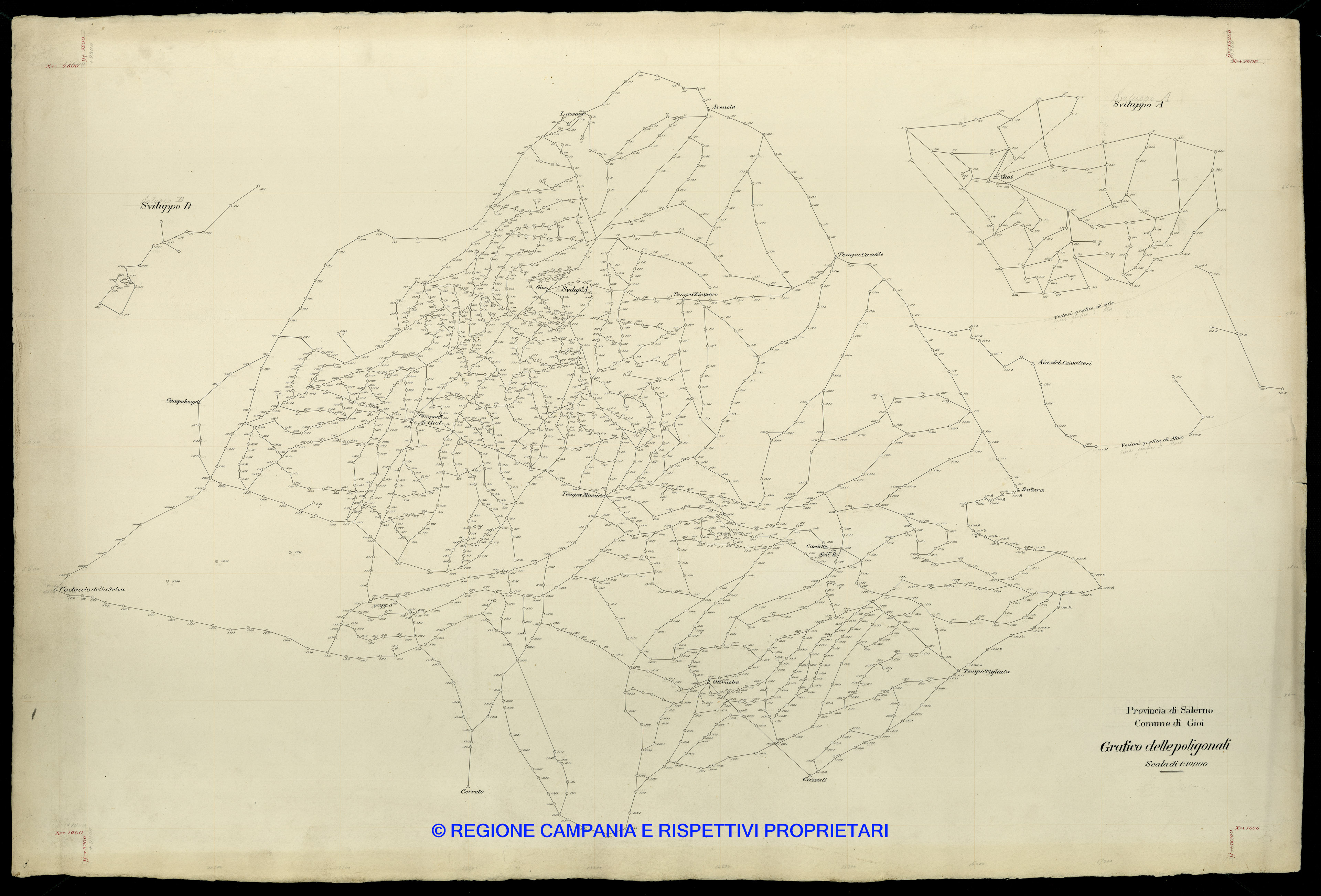 Grafico delle Poligonali