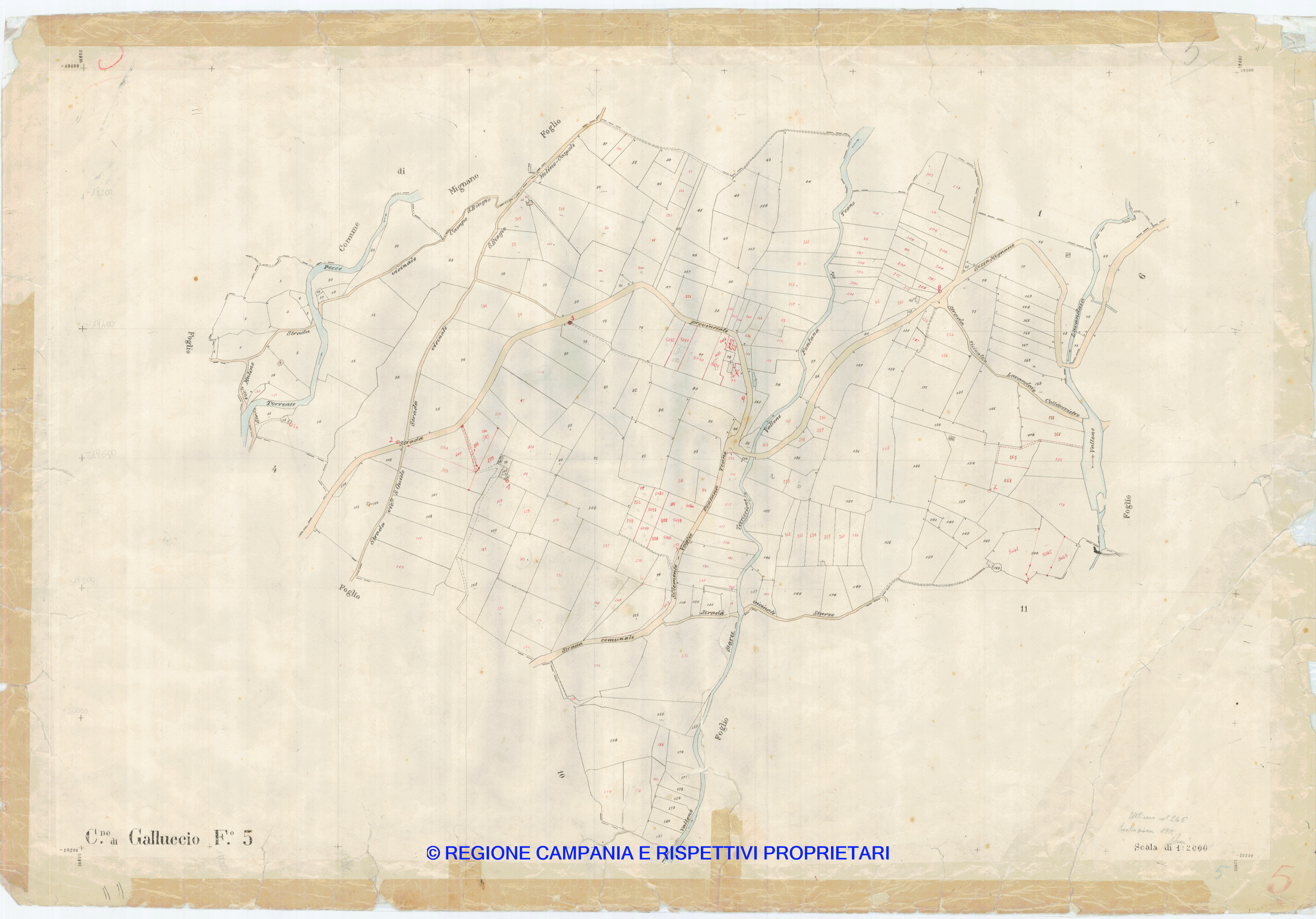 Mappa