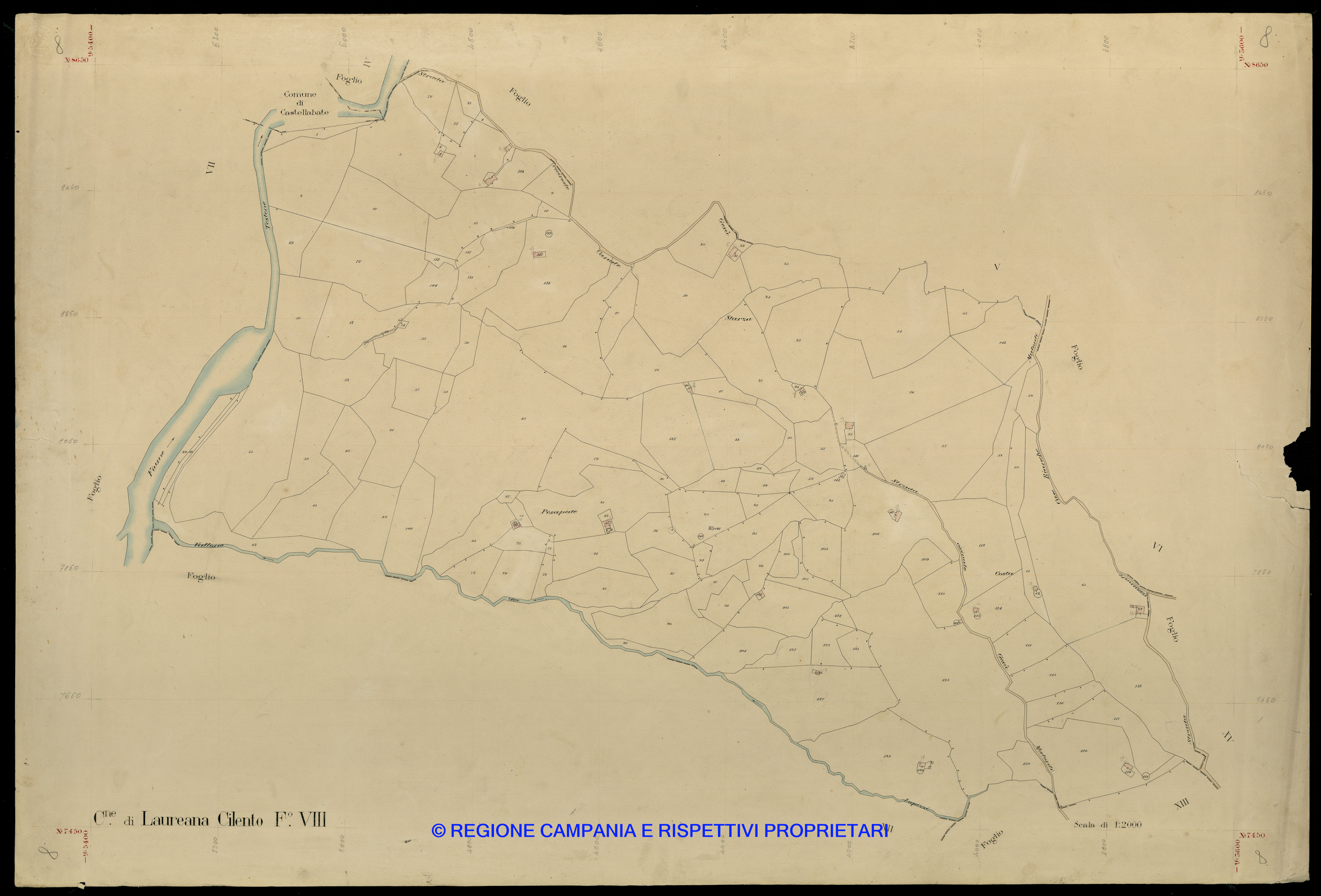 Mappa