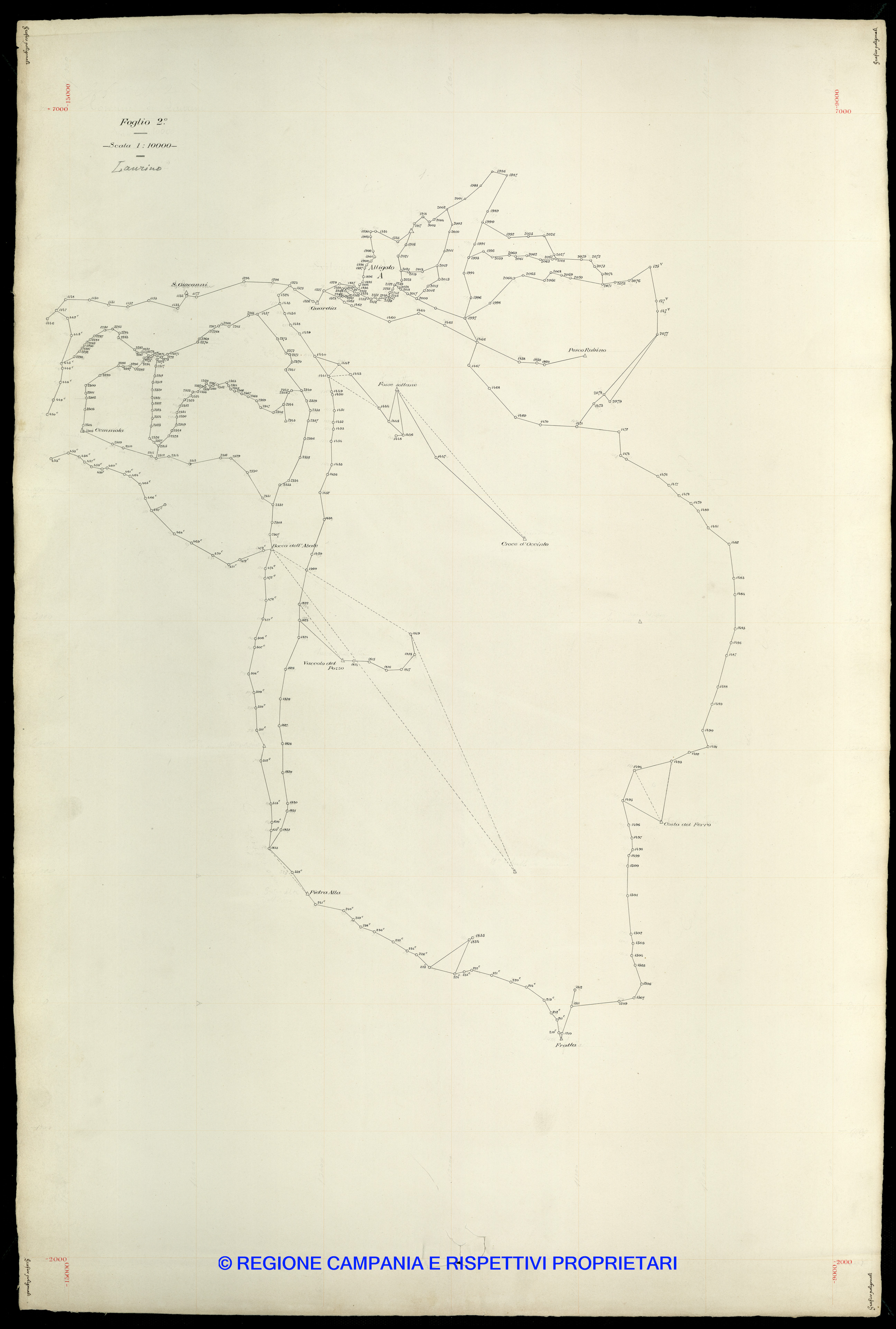 Grafico delle Poligonali