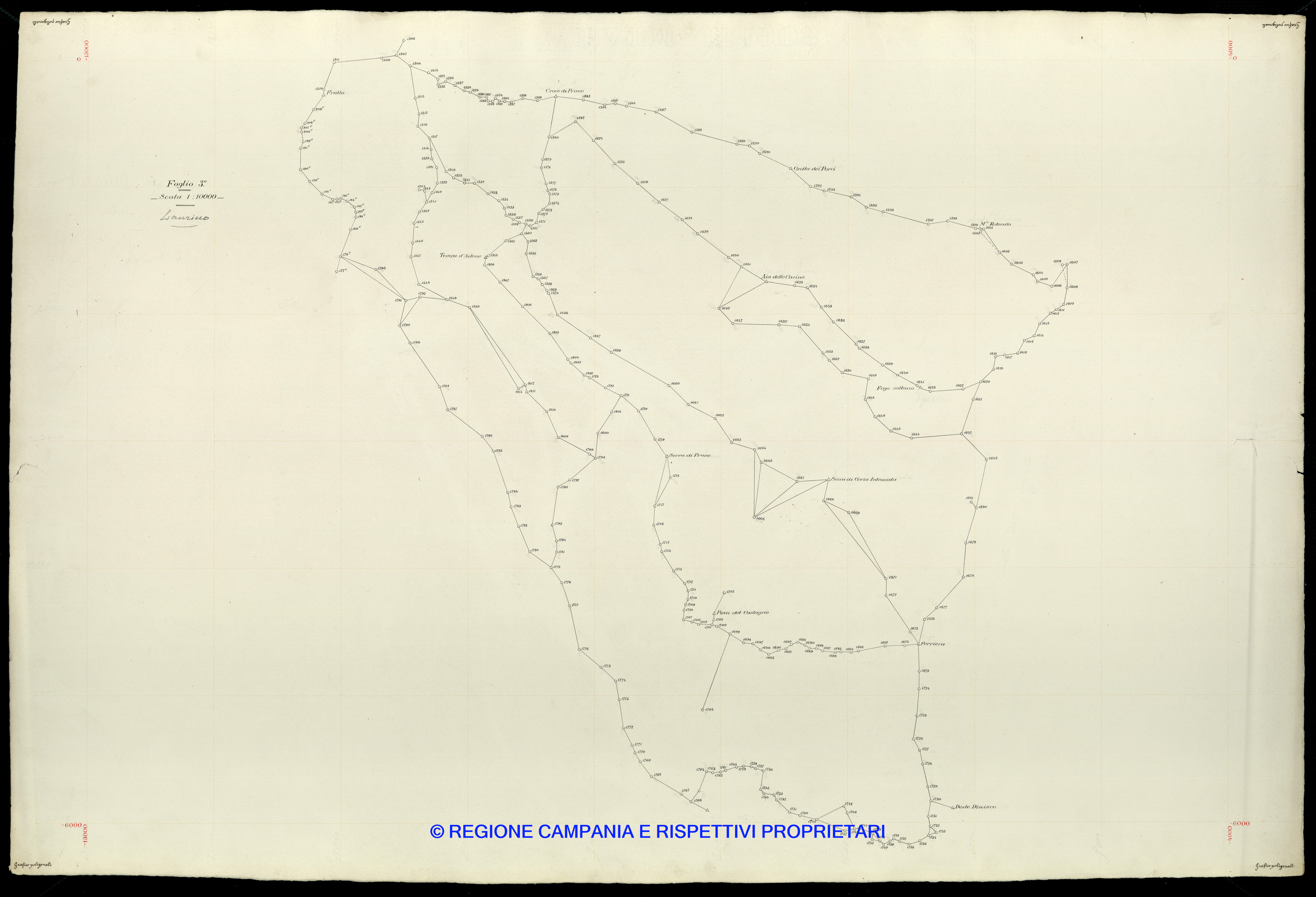 Grafico delle Poligonali