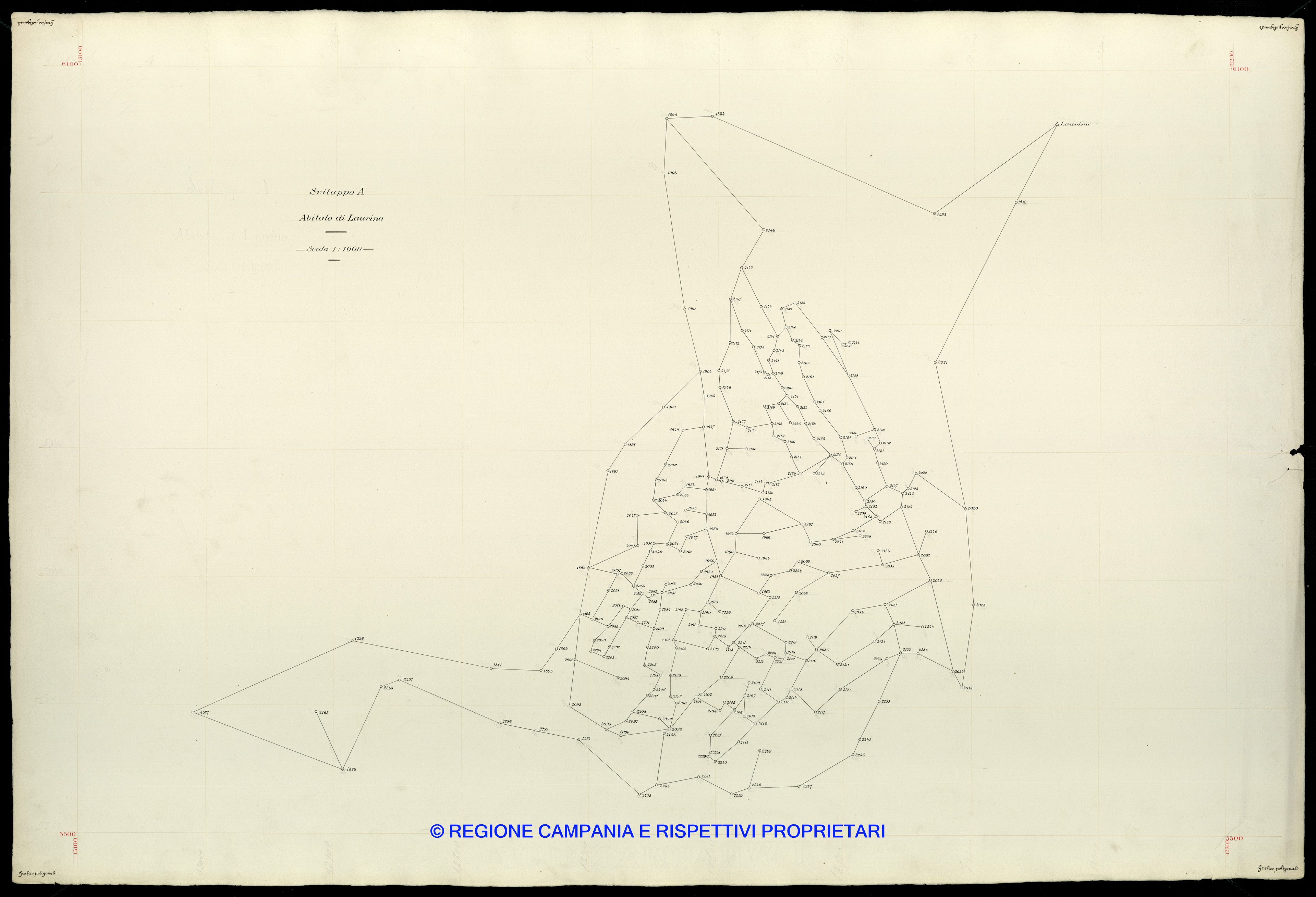 Grafico delle Poligonali