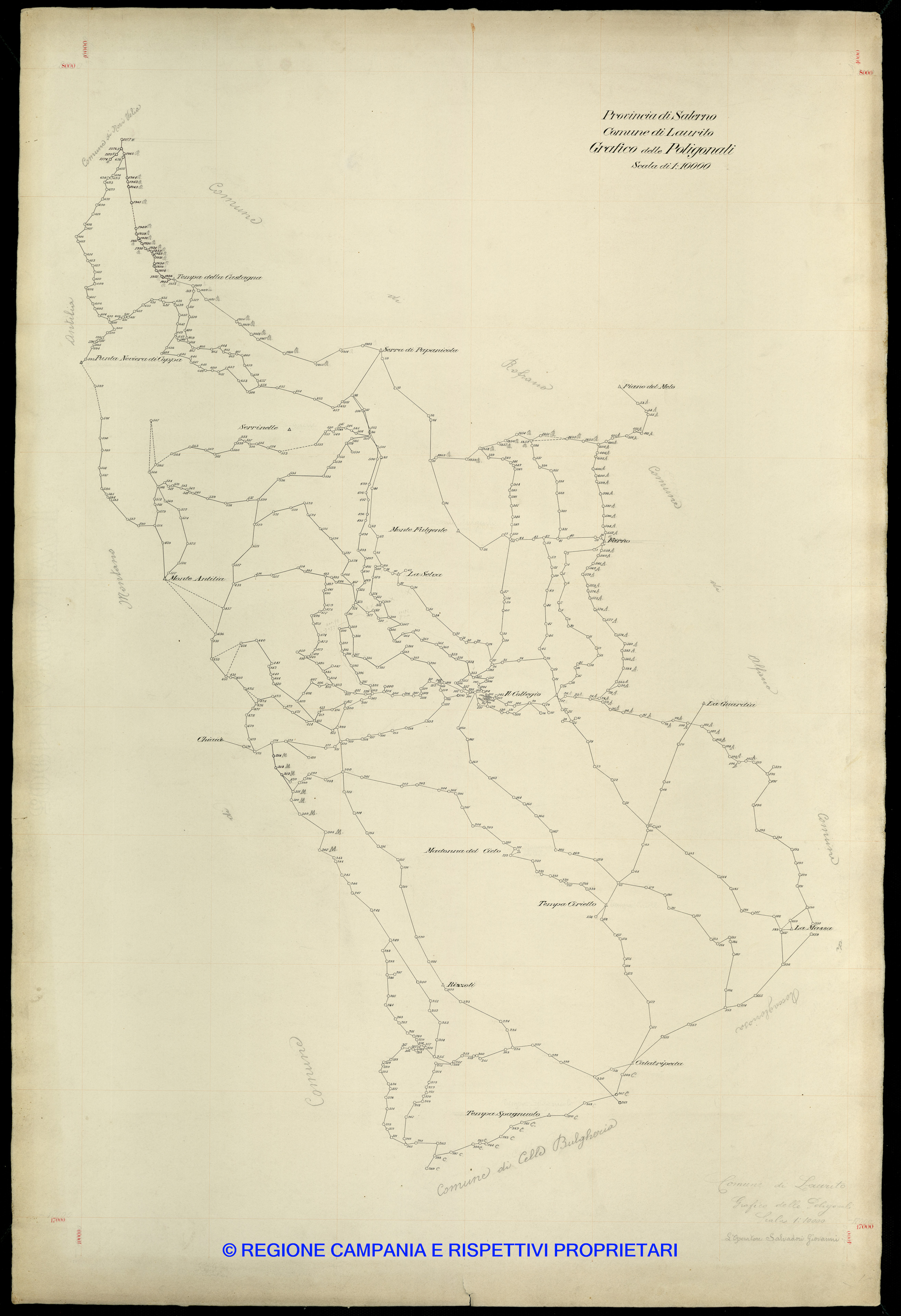 Grafico delle Poligonali